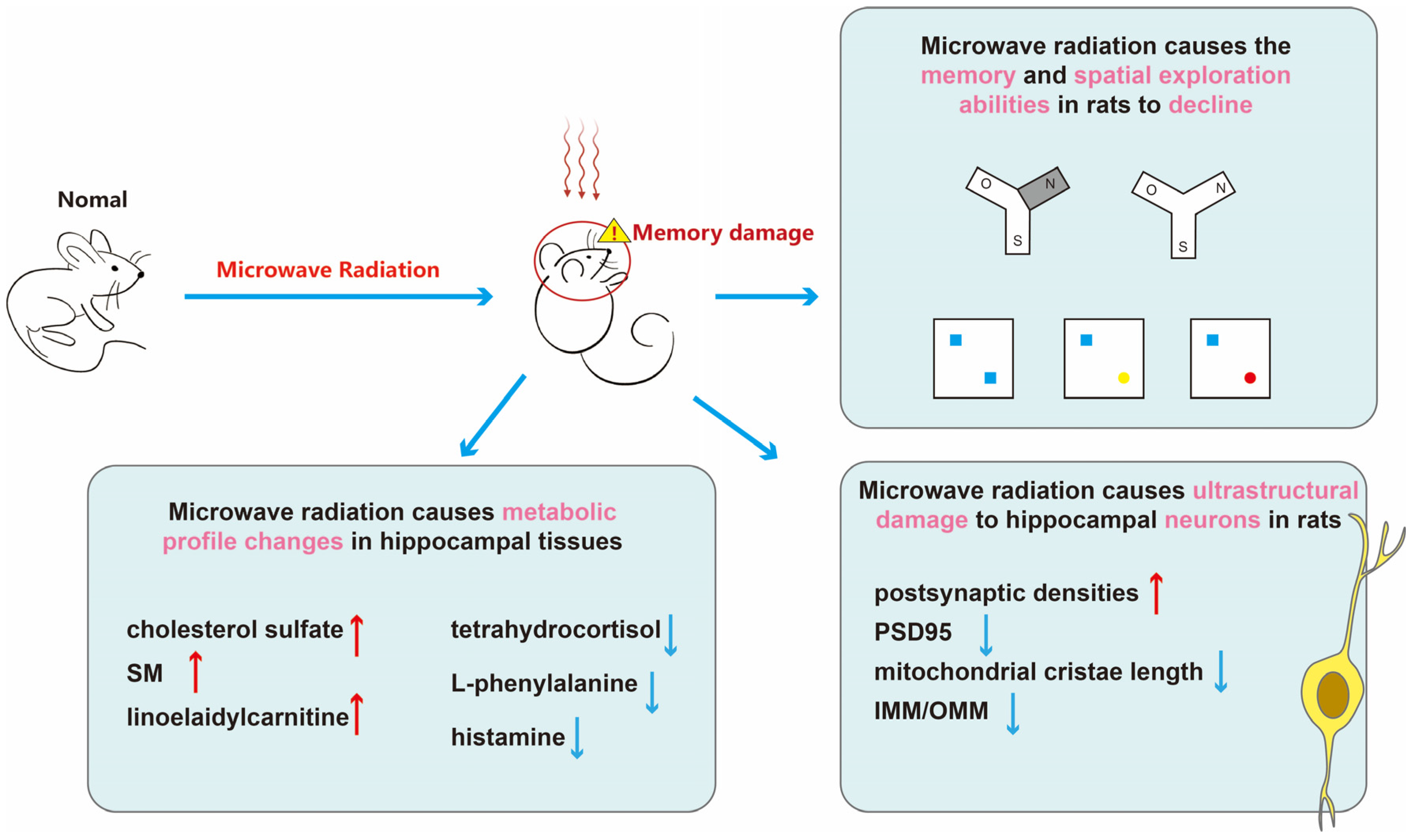 Brainsci 14 00441 g007 Brainsci 14 00441 g007