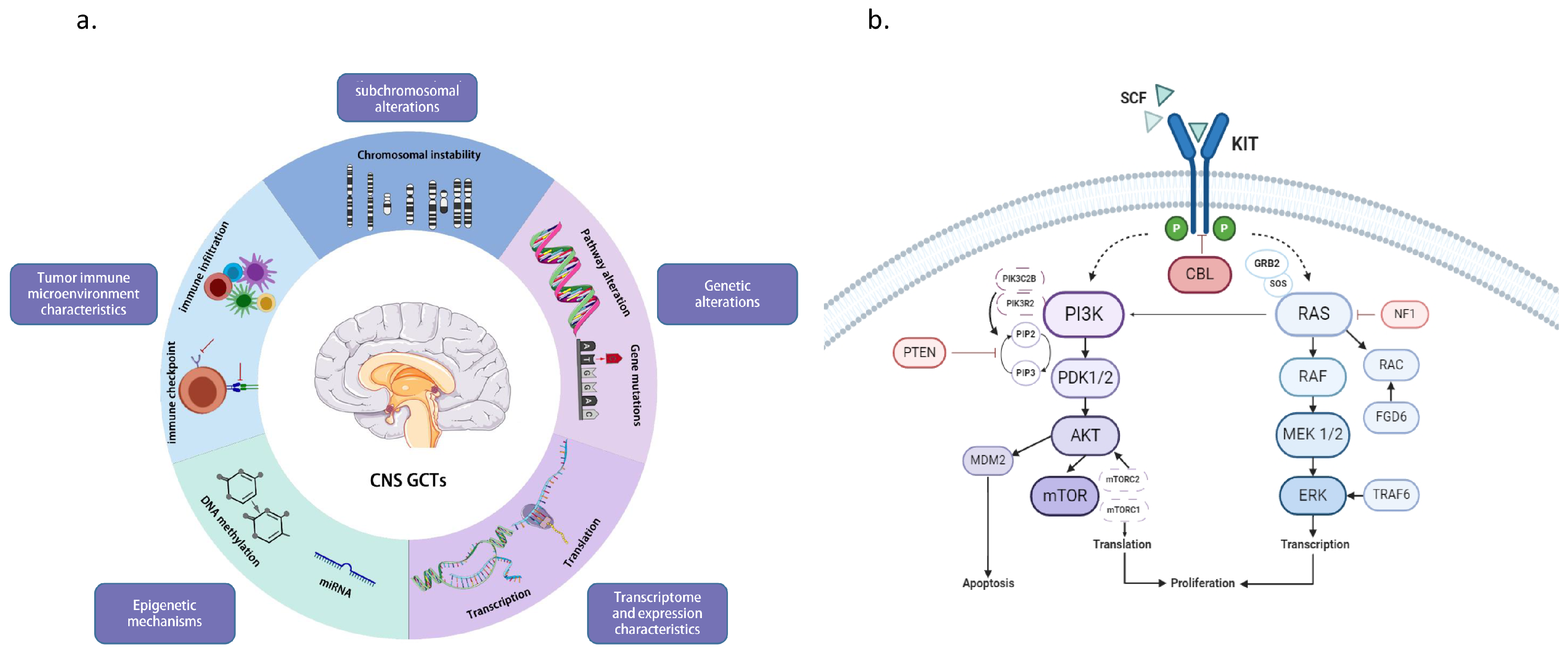 Brainsci 14 00445 g003