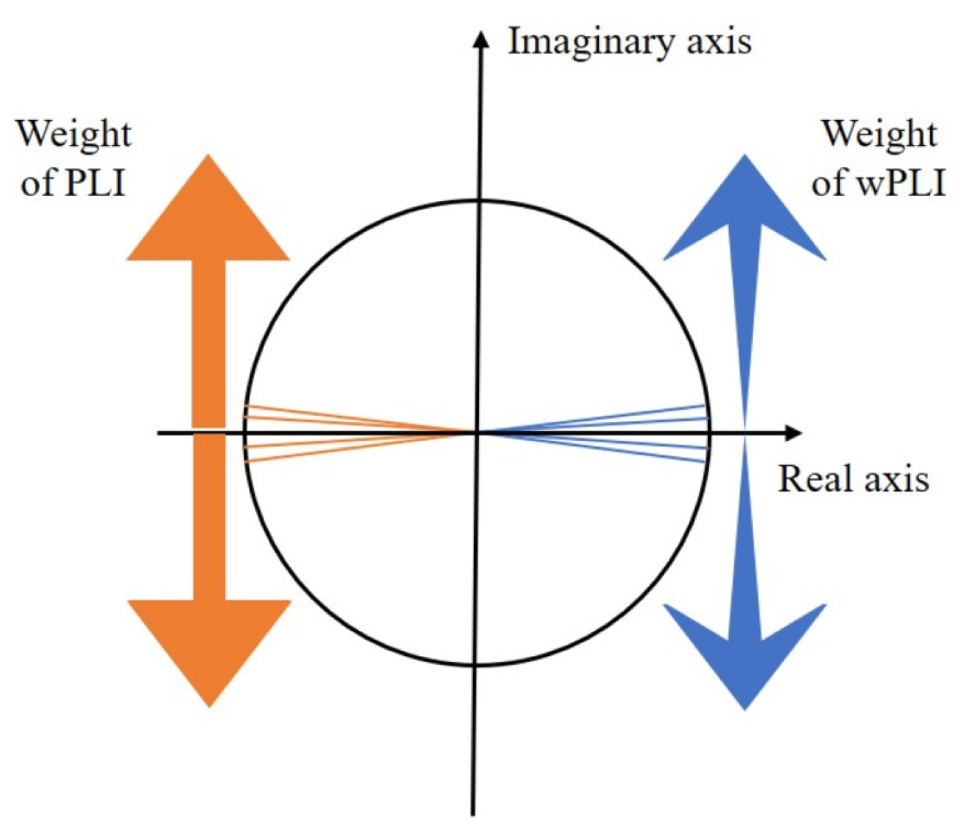 Brainsci 14 00448 g006