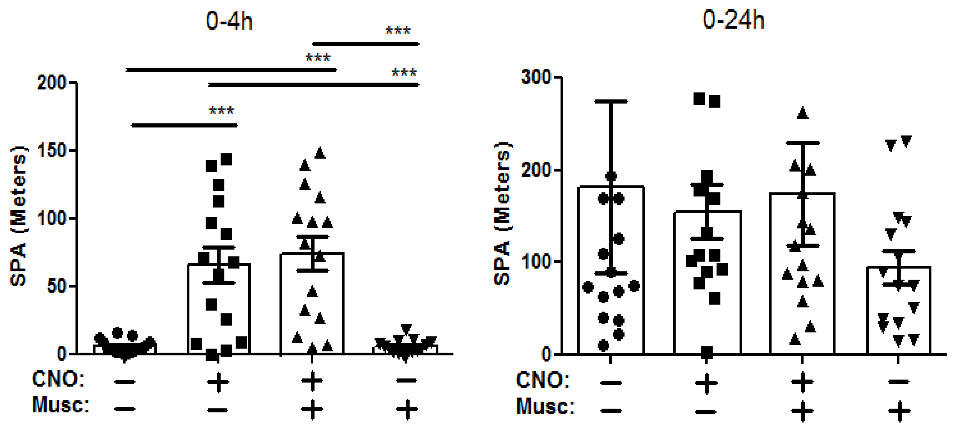 Brainsci 14 00464 g003