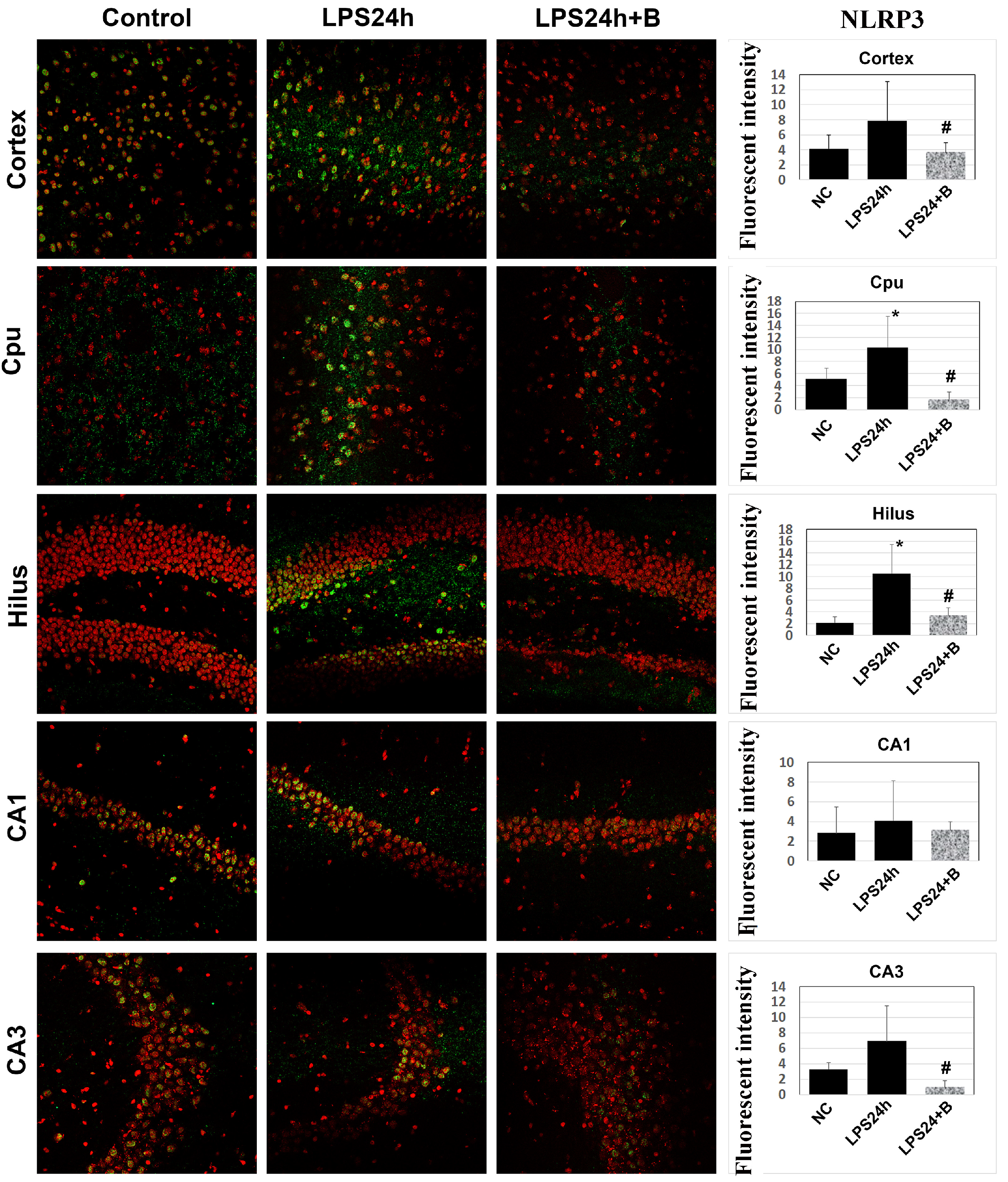 Brainsci 14 00467 g007