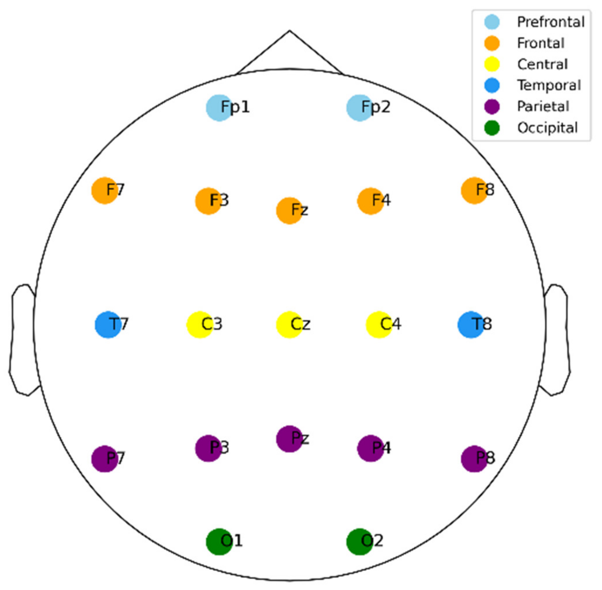 Brainsci 14 00469 g001