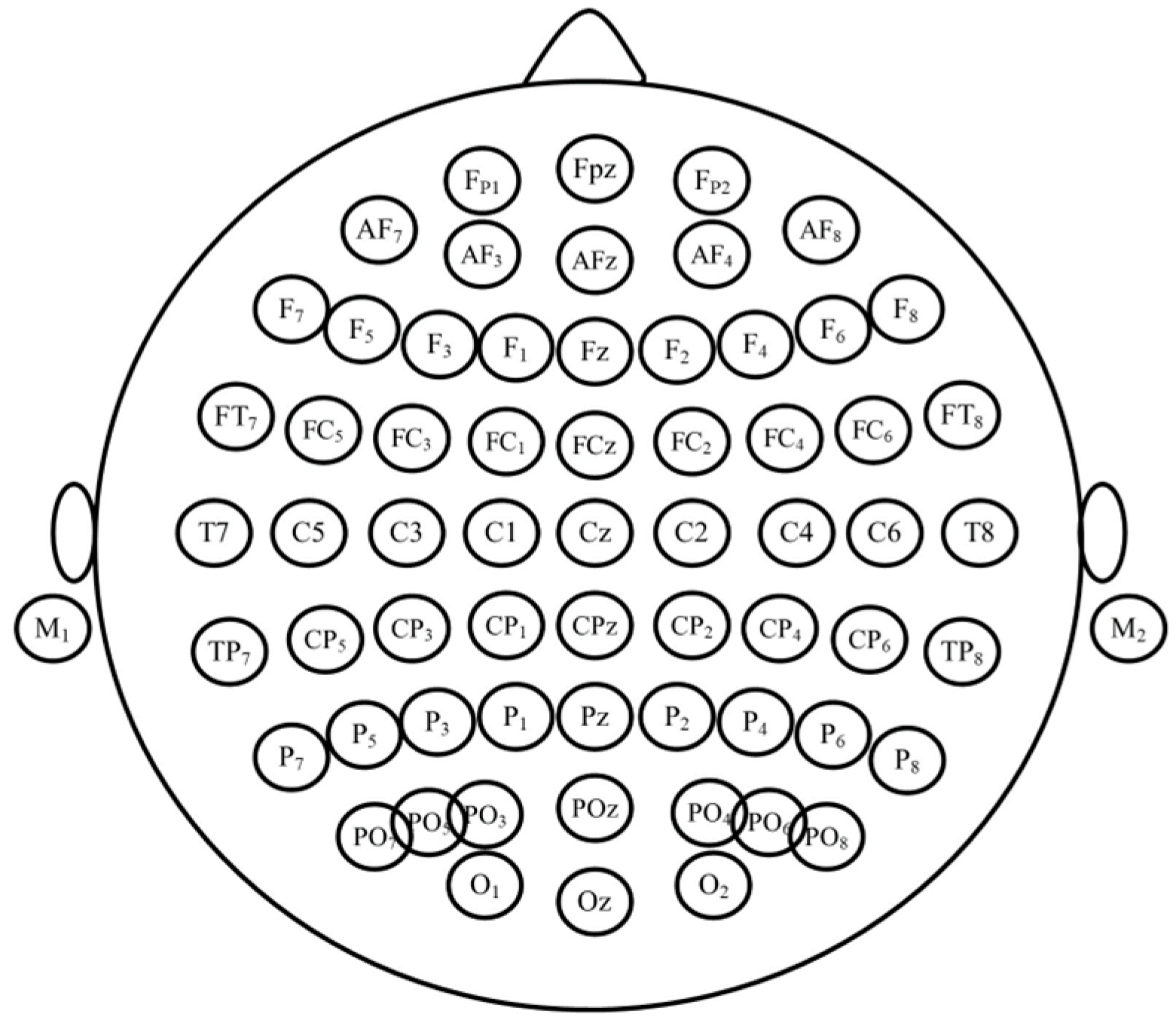 Brainsci 14 00470 g004