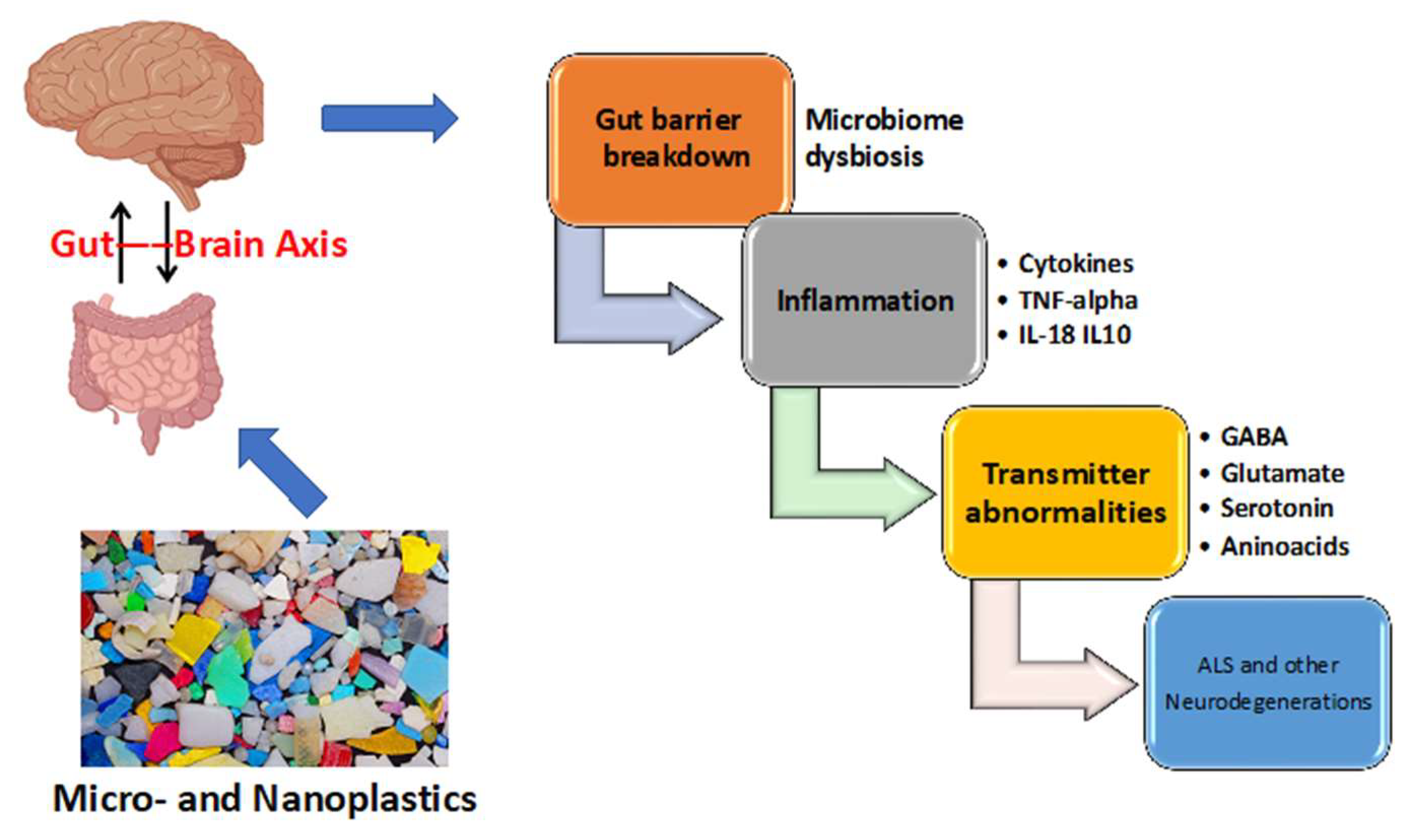 Brainsci 14 00471 g002