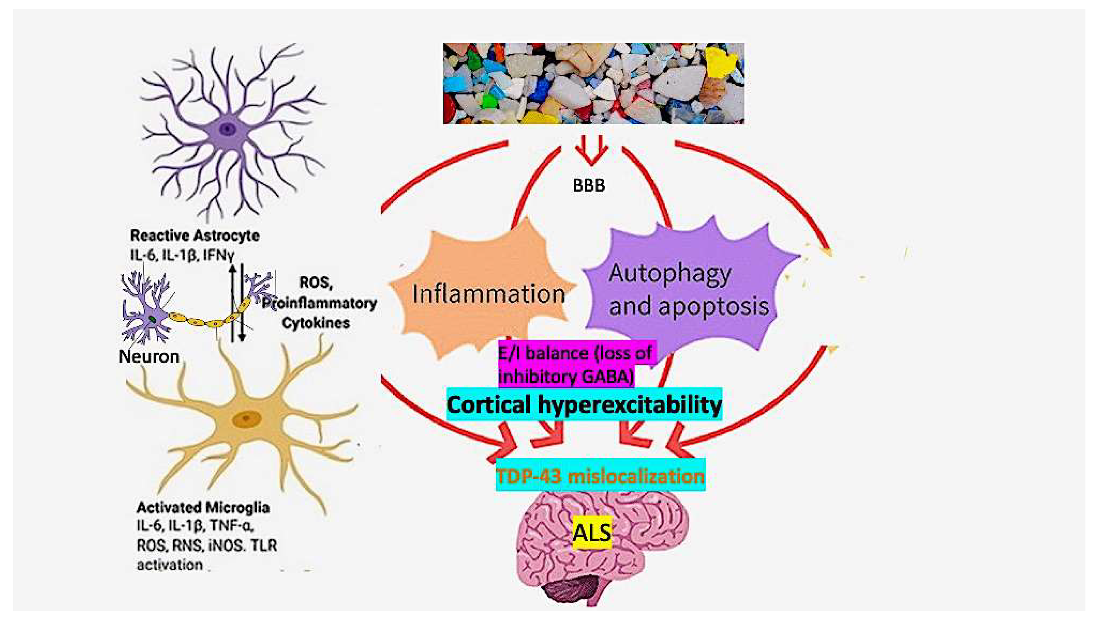 Brainsci 14 00471 g003