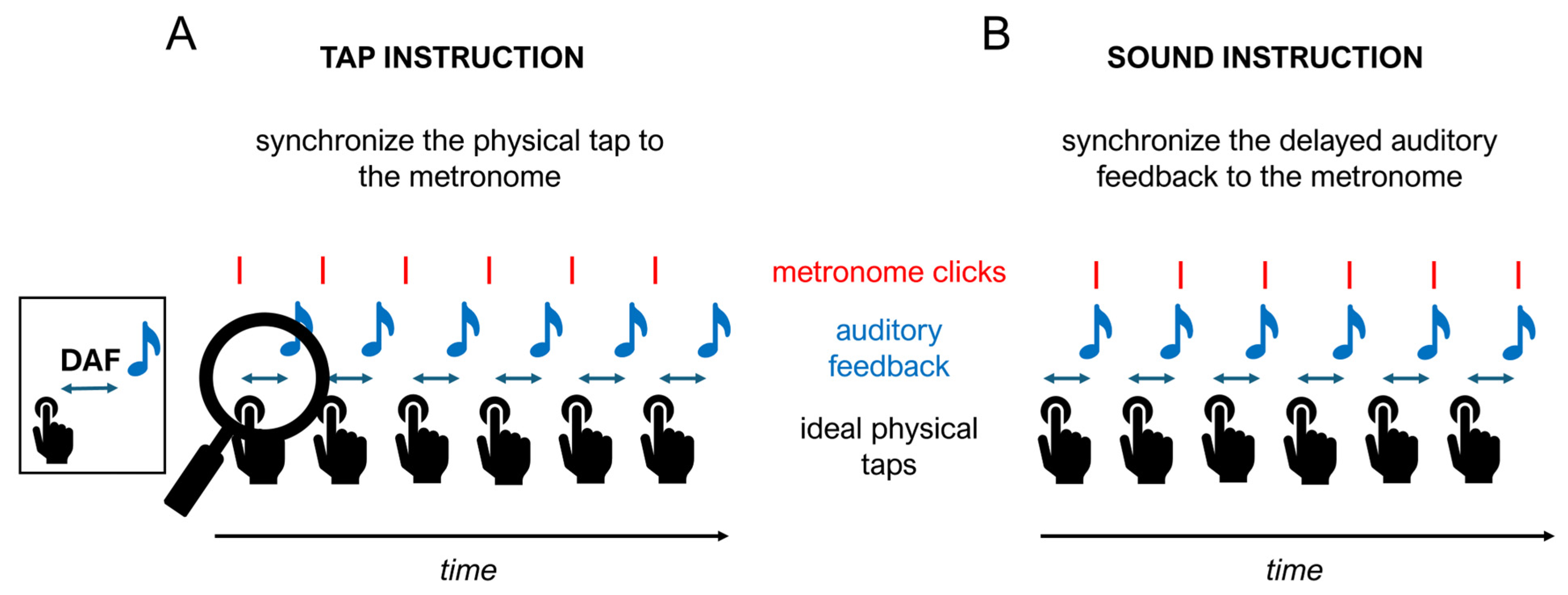 Brainsci 14 00472 g001