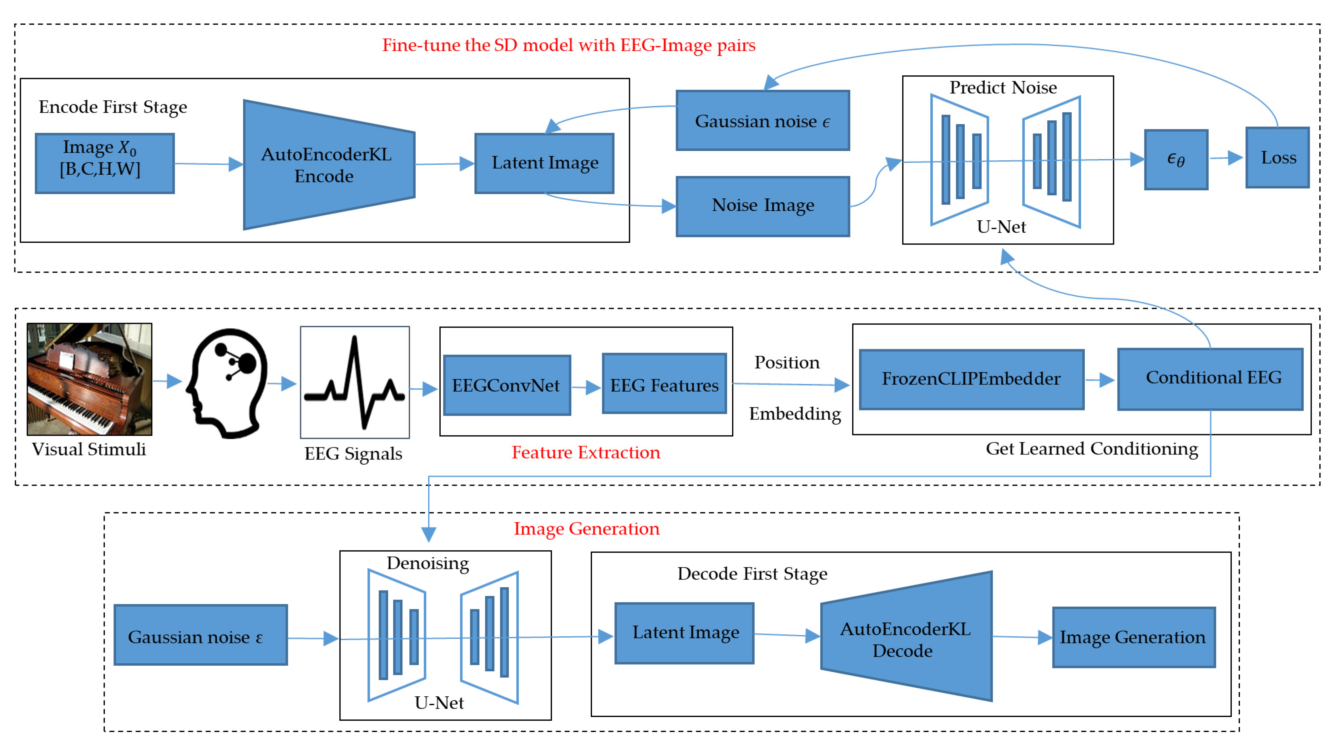 Brainsci 14 00478 g001