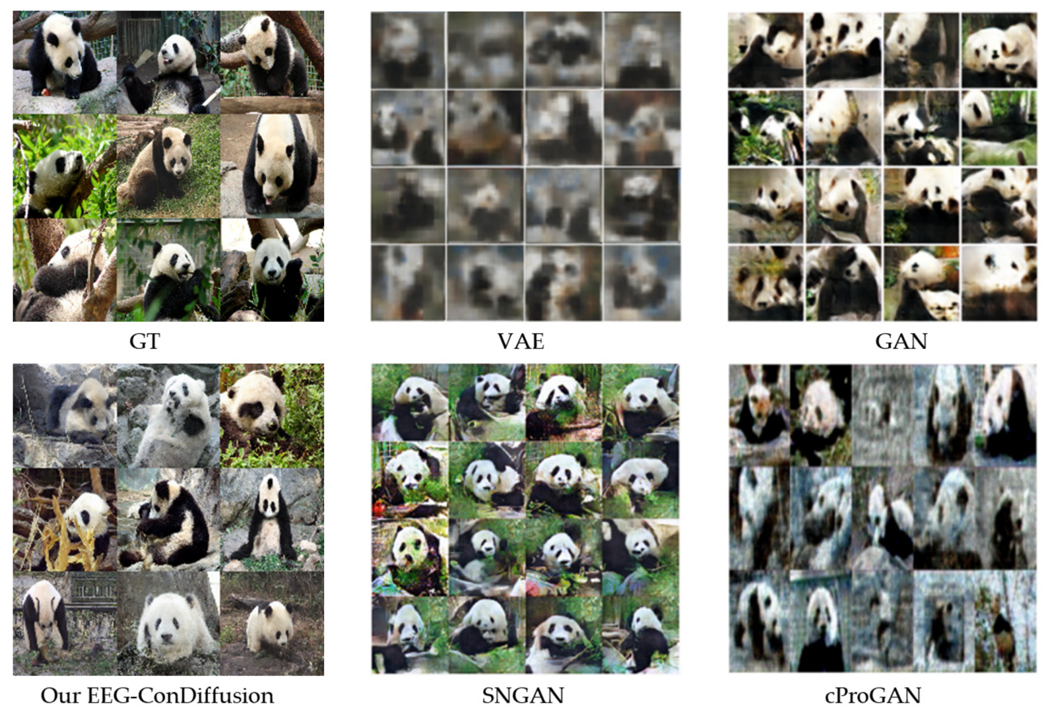 Brainsci 14 00478 g004