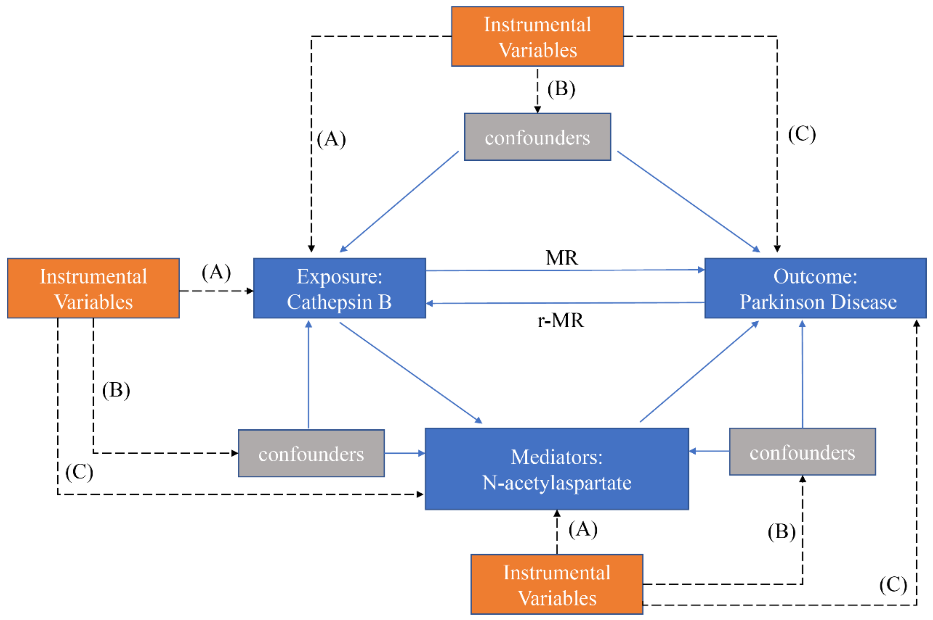 Brainsci 14 00482 g001
