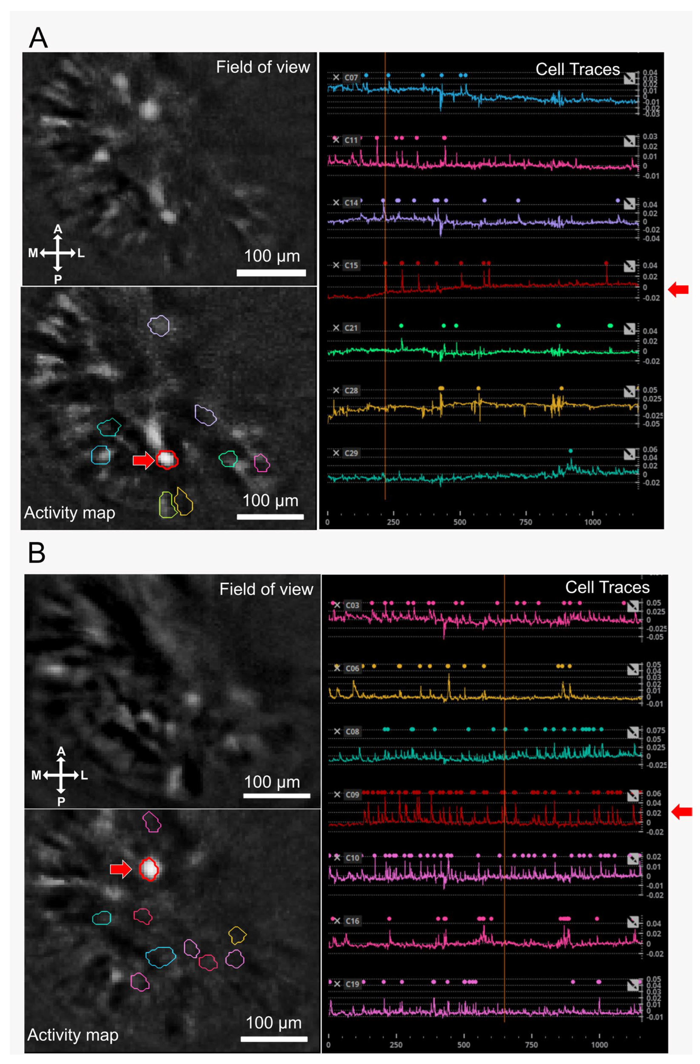 Brainsci 14 00484 g002