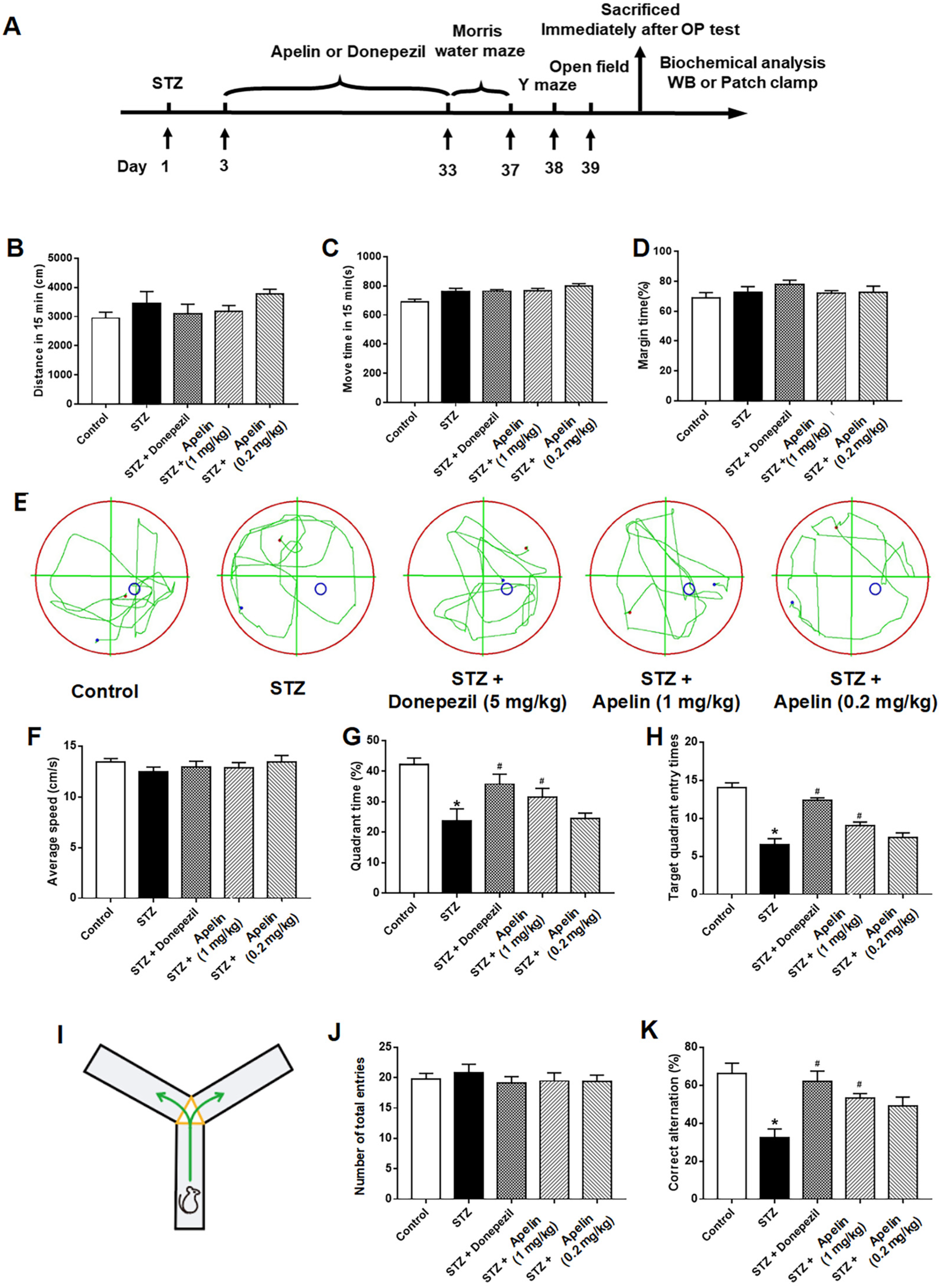 Brainsci 14 00488 g001