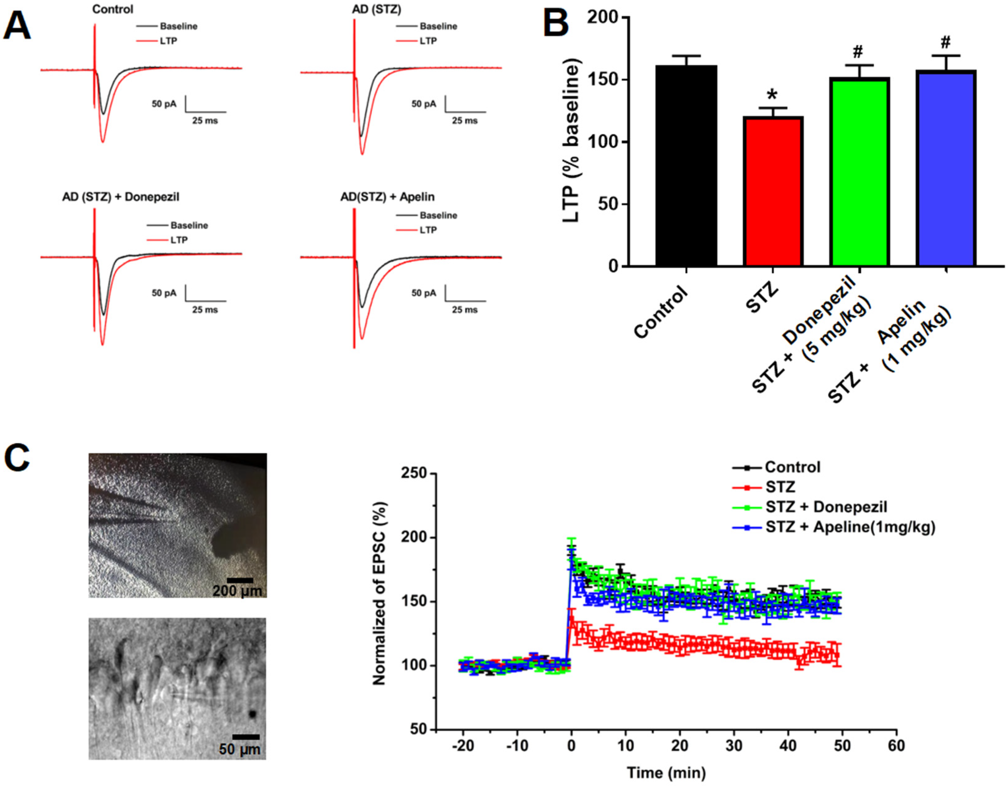 Brainsci 14 00488 g002