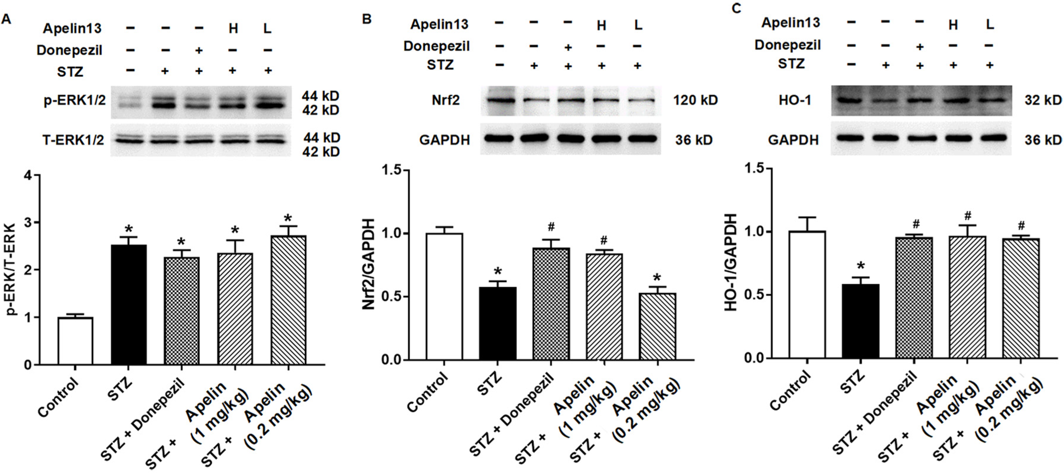 Brainsci 14 00488 g004