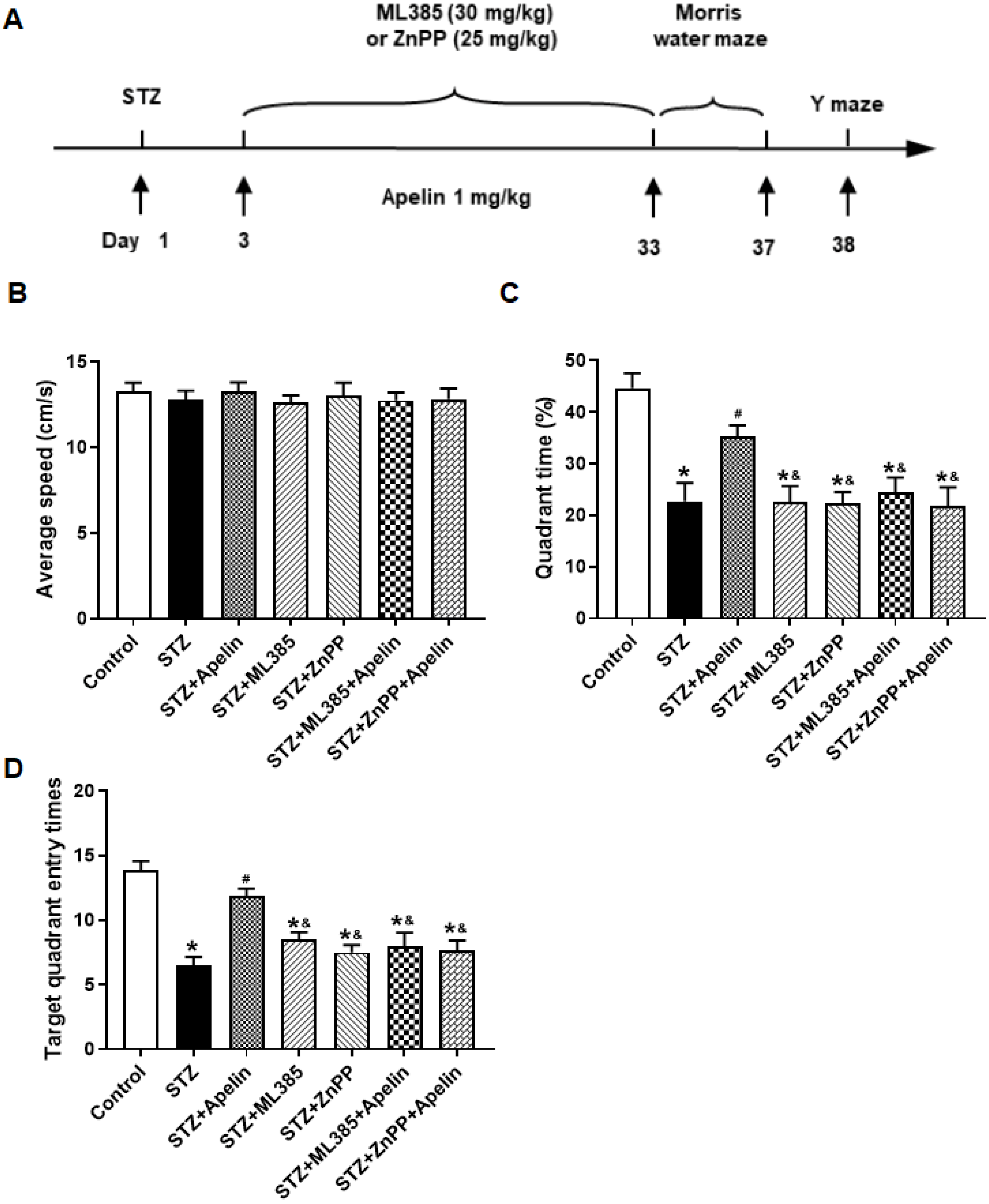 Brainsci 14 00488 g005