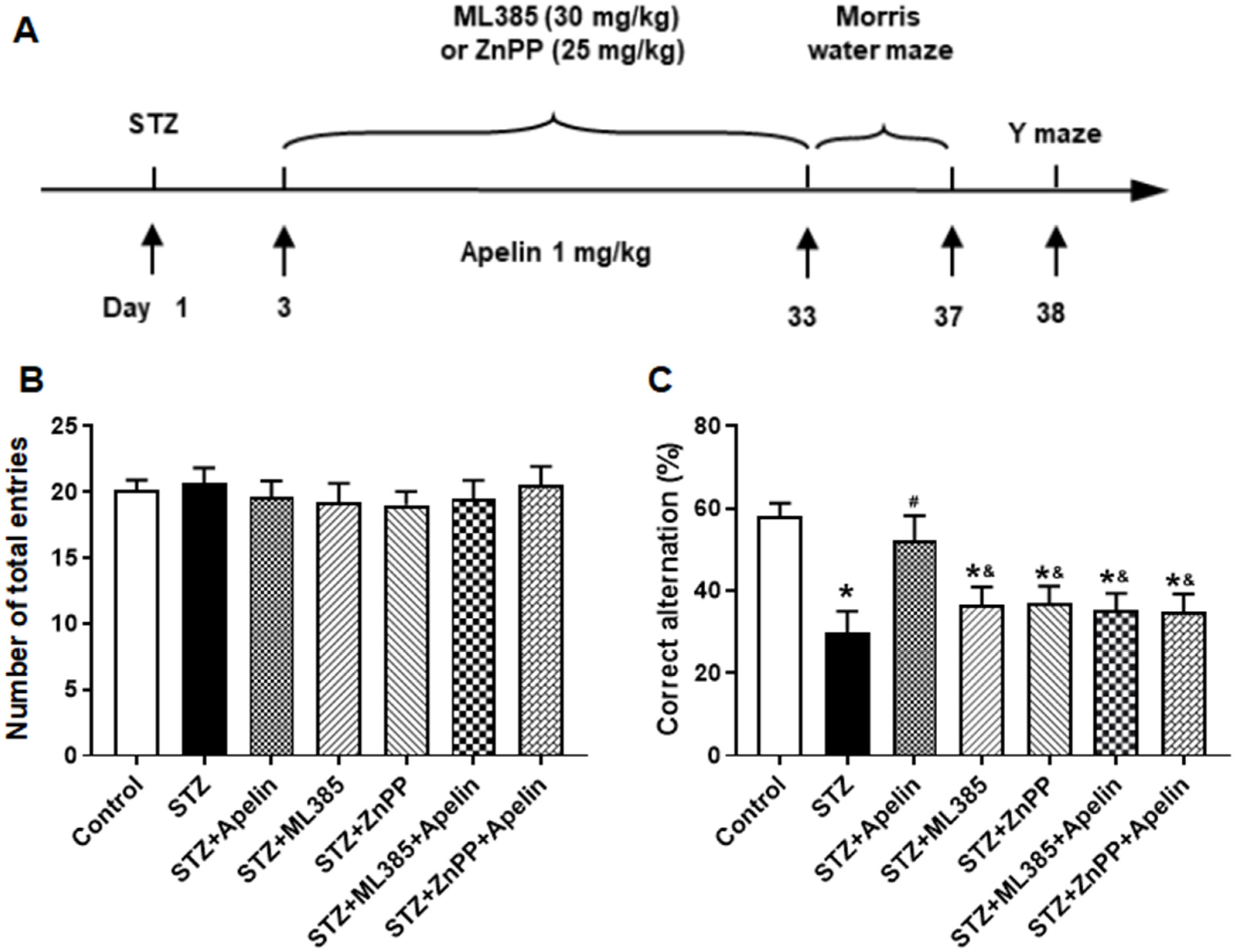 Brainsci 14 00488 g006