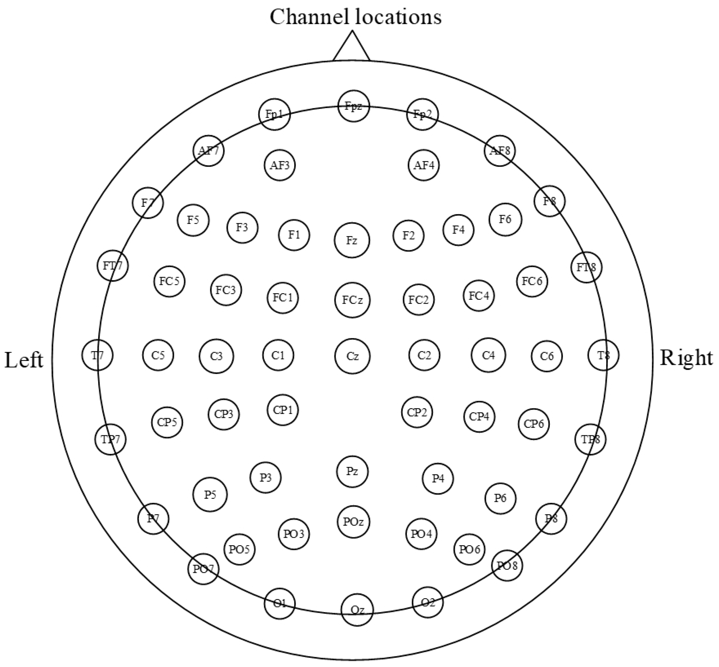 Brainsci 14 00498 g003