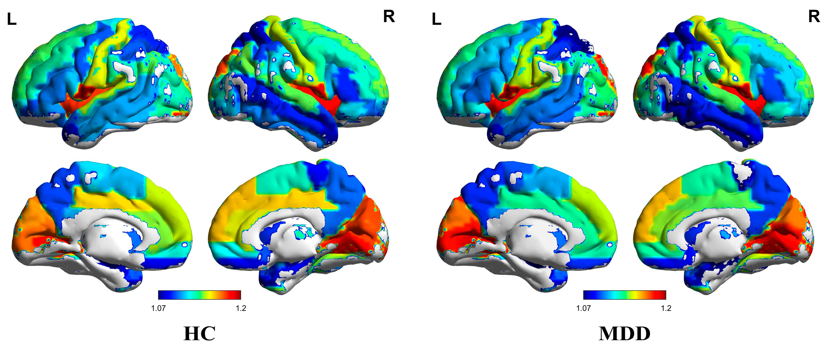 Brainsci 14 00509 g001