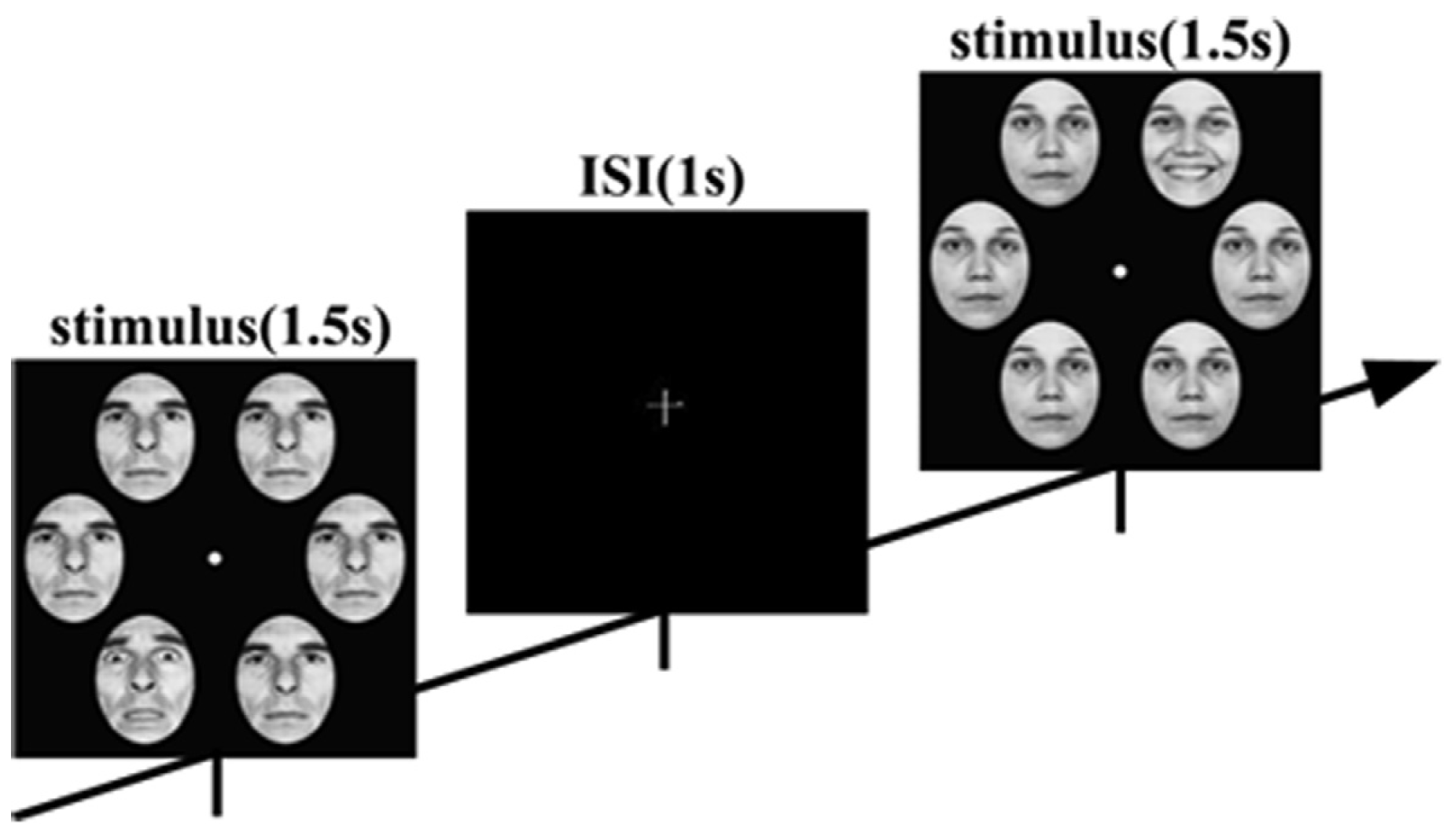 Brainsci 14 00516 g005