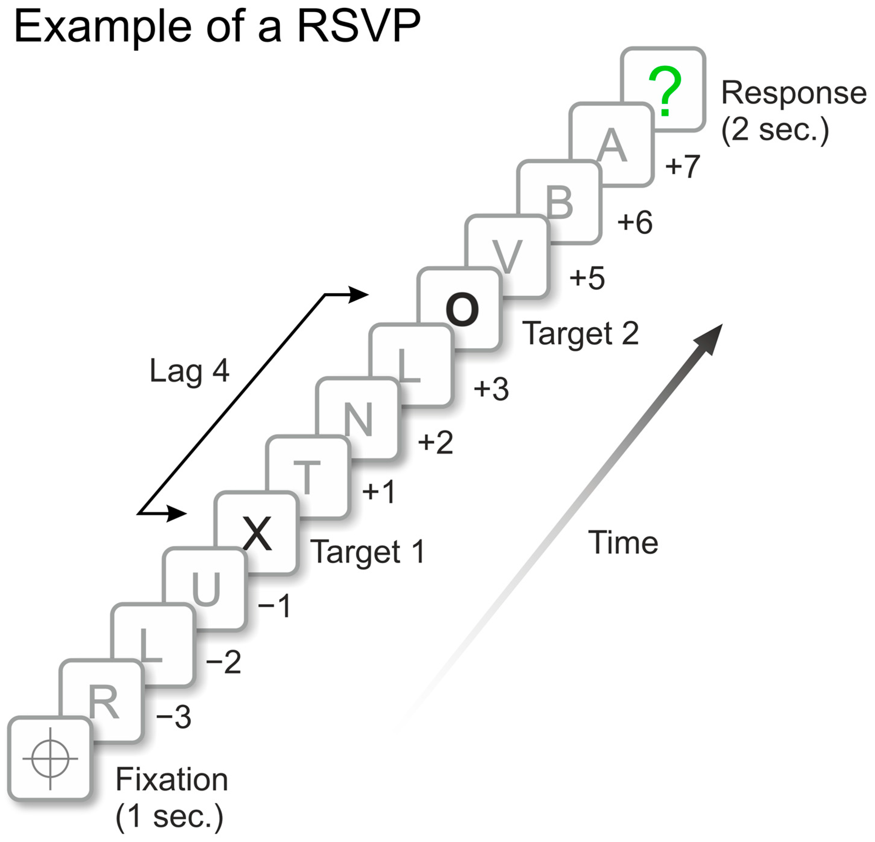 Brainsci 14 00518 g005