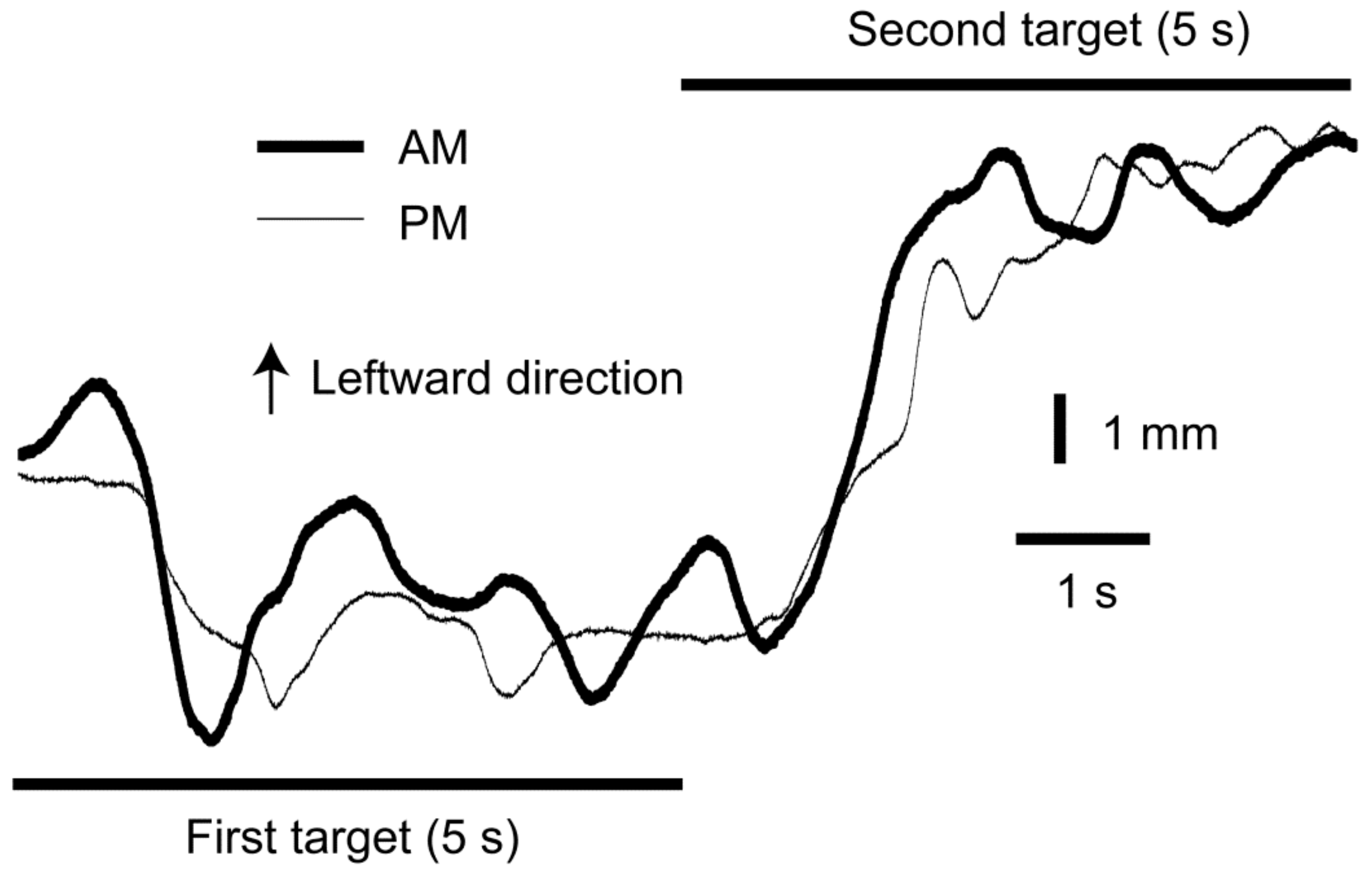 Brainsci 14 00531 g003
