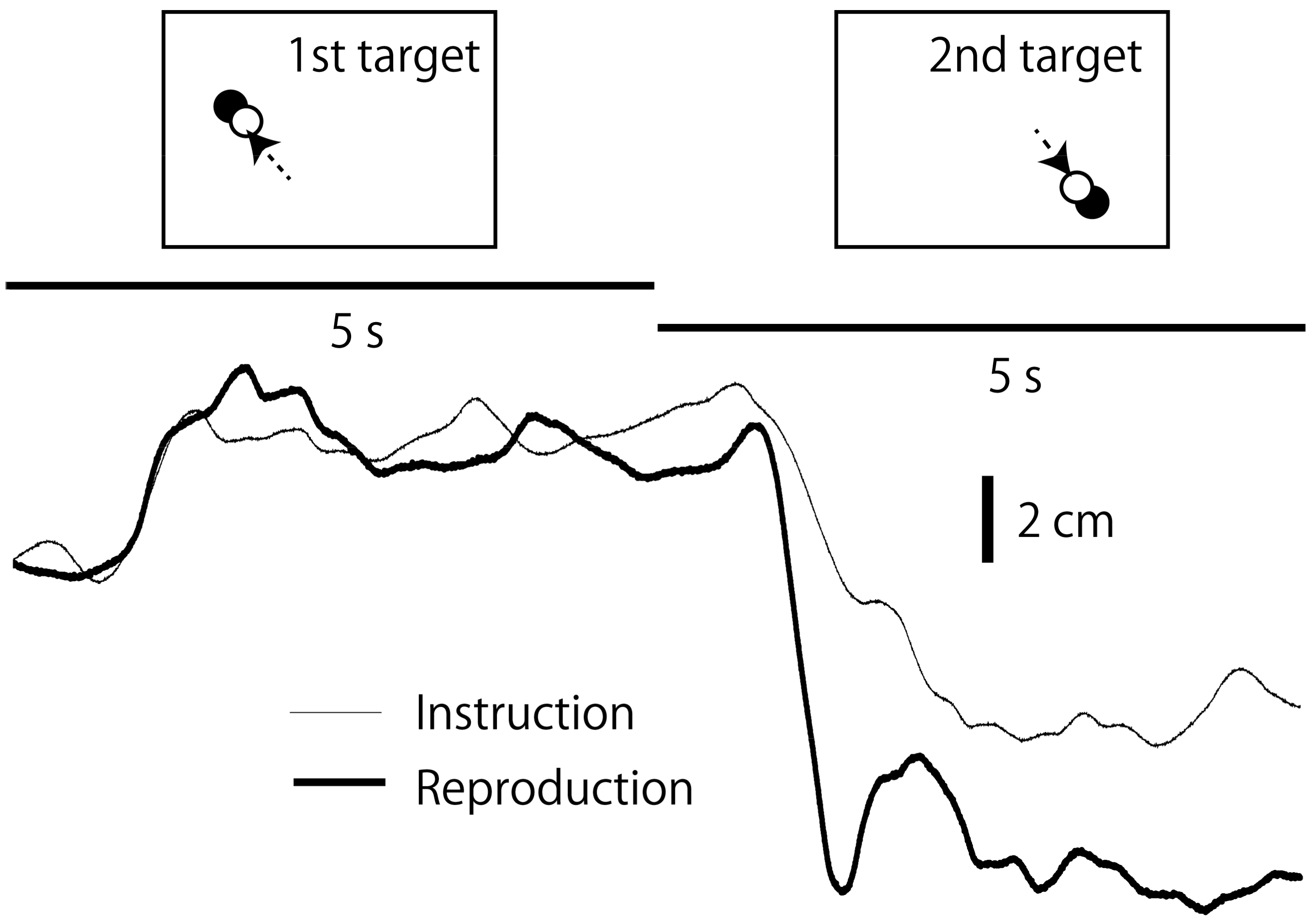 Brainsci 14 00531 g004