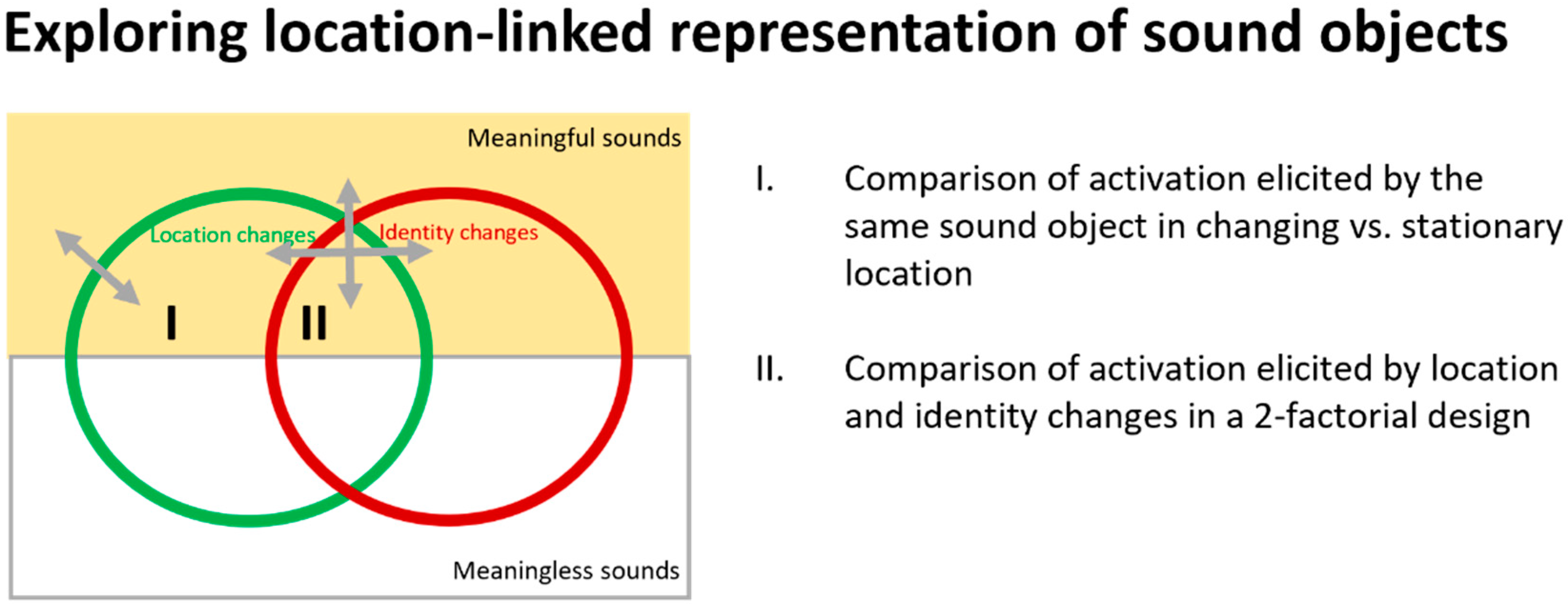 Brainsci 14 00535 g001 Brainsci 14 00535 g001