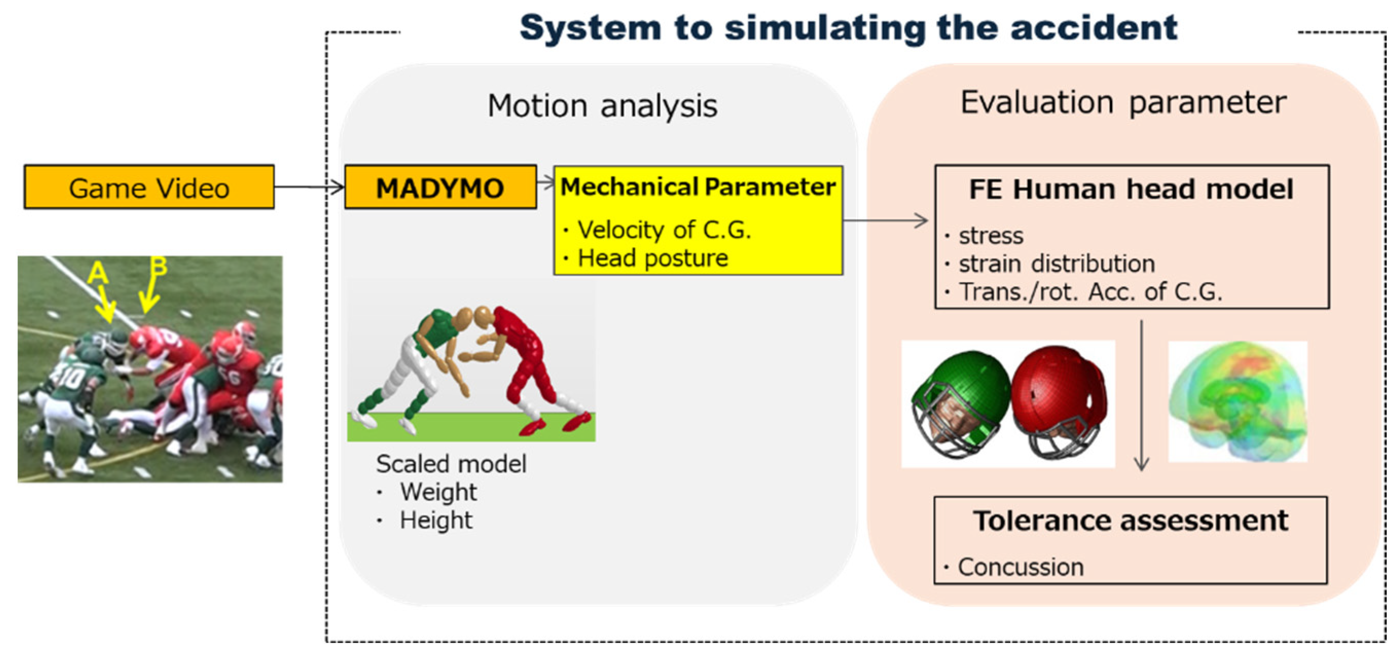 Brainsci 14 00537 g001