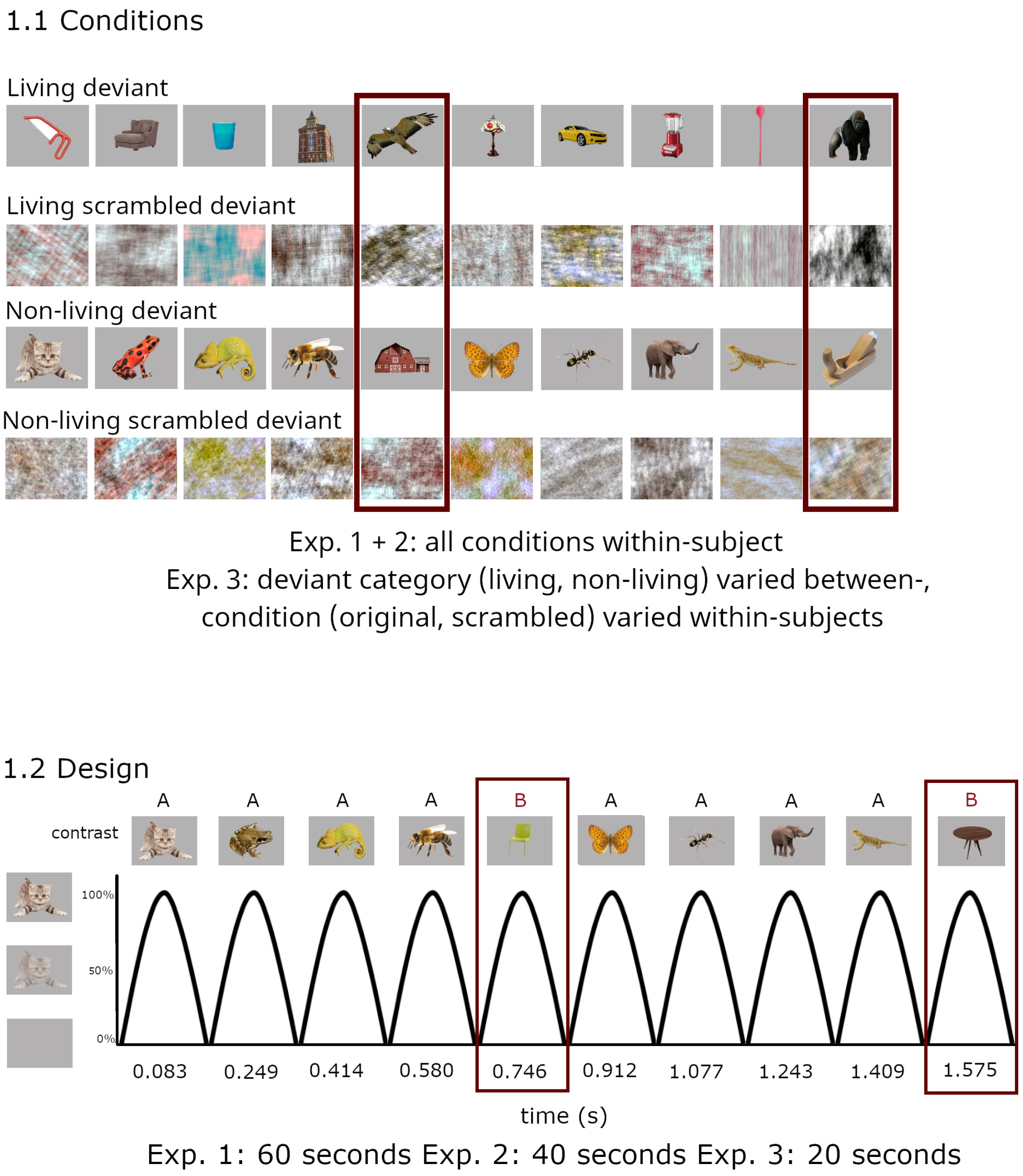 Brainsci 14 00541 g001