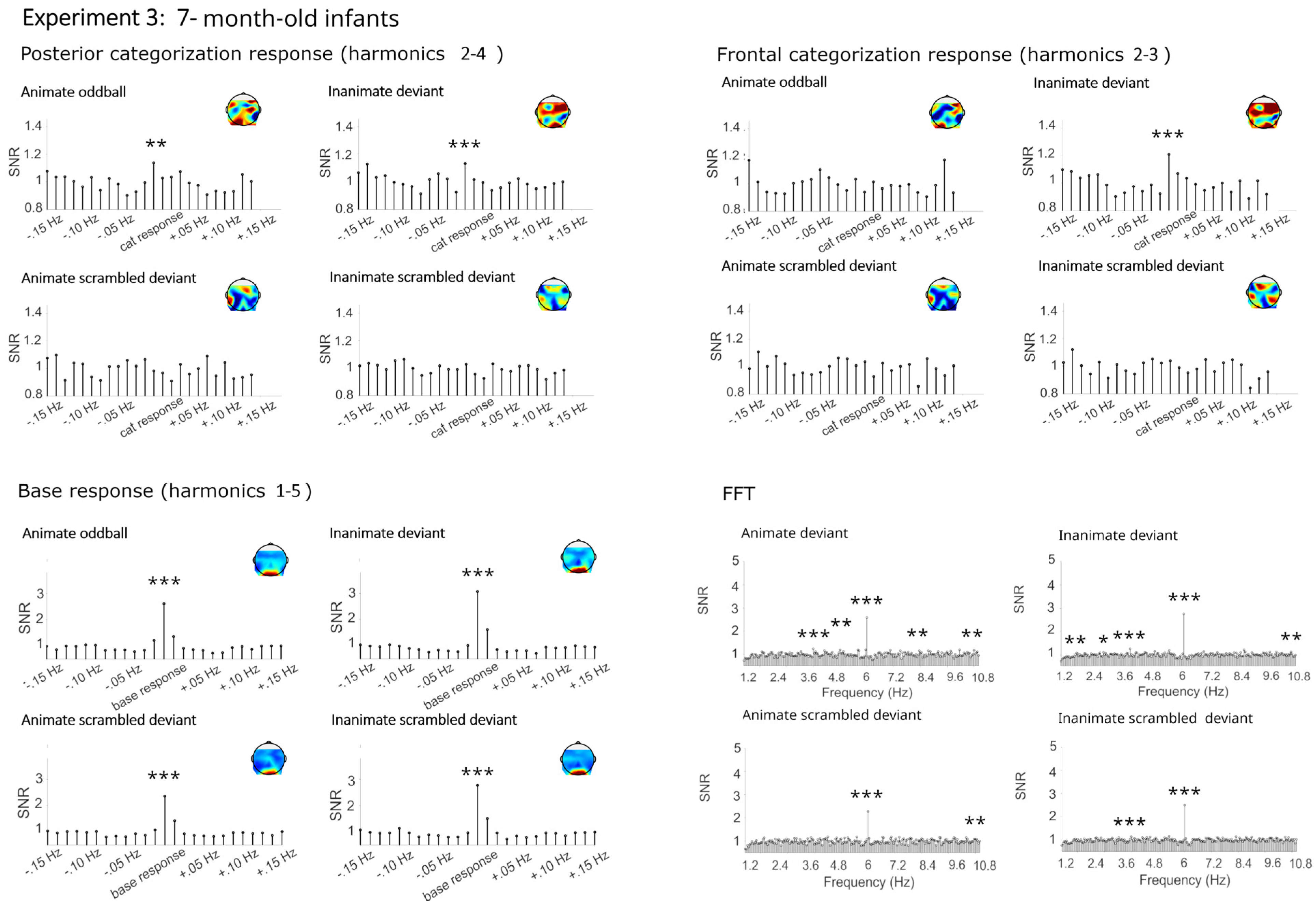Brainsci 14 00541 g005