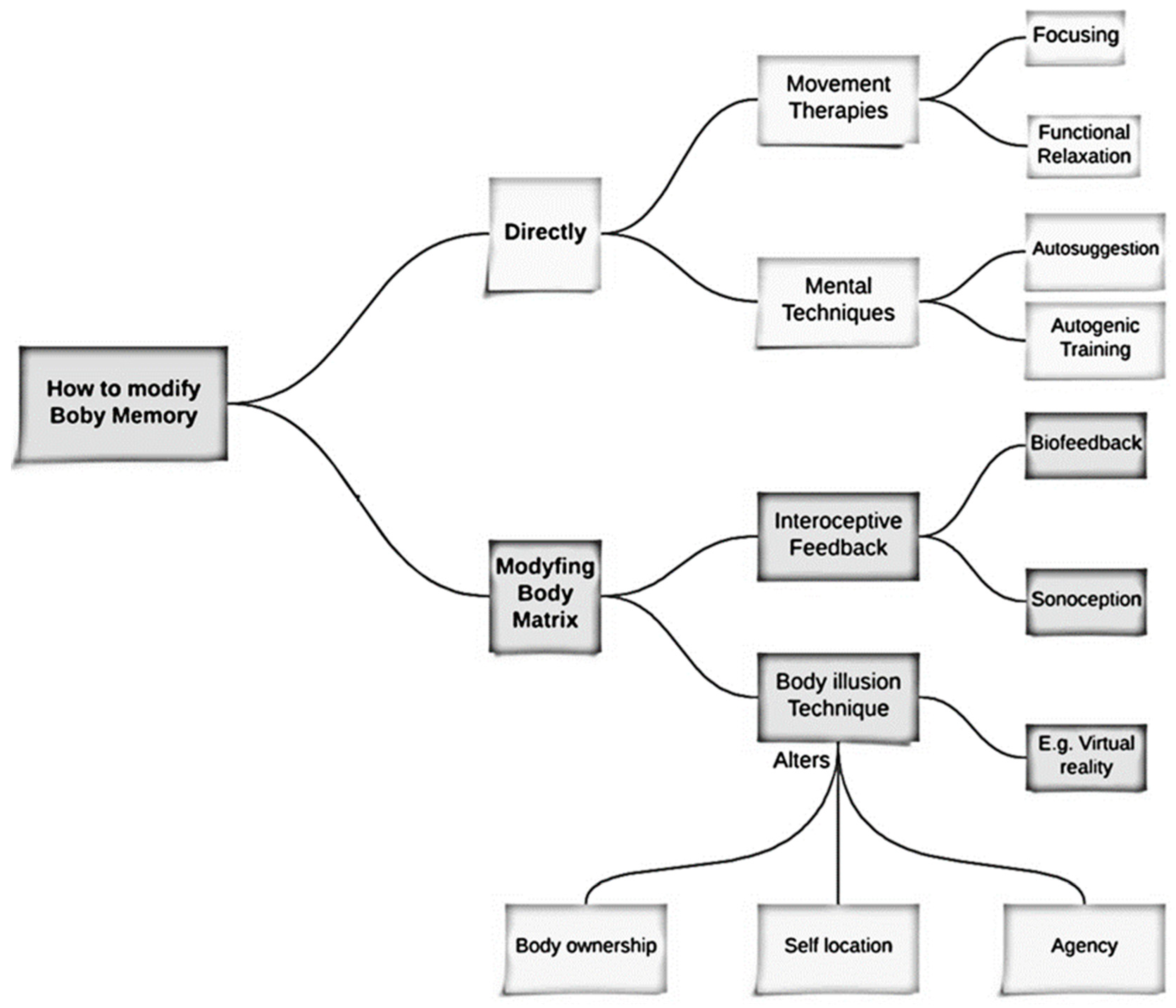Brainsci 14 00542 g001 Brainsci 14 00542 g001
