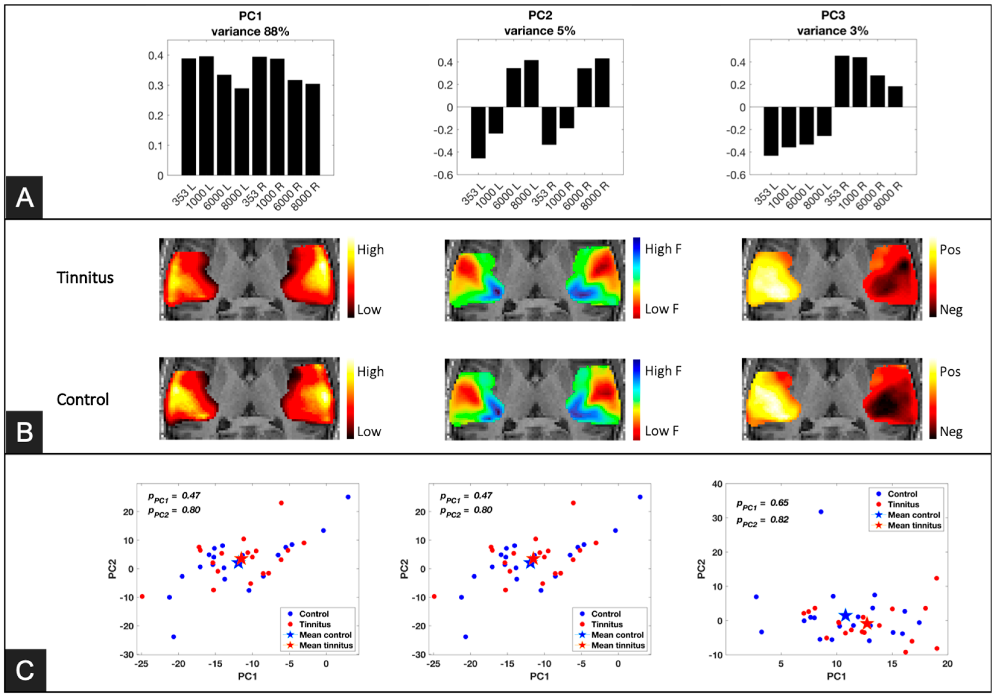 Brainsci 14 00544 g004