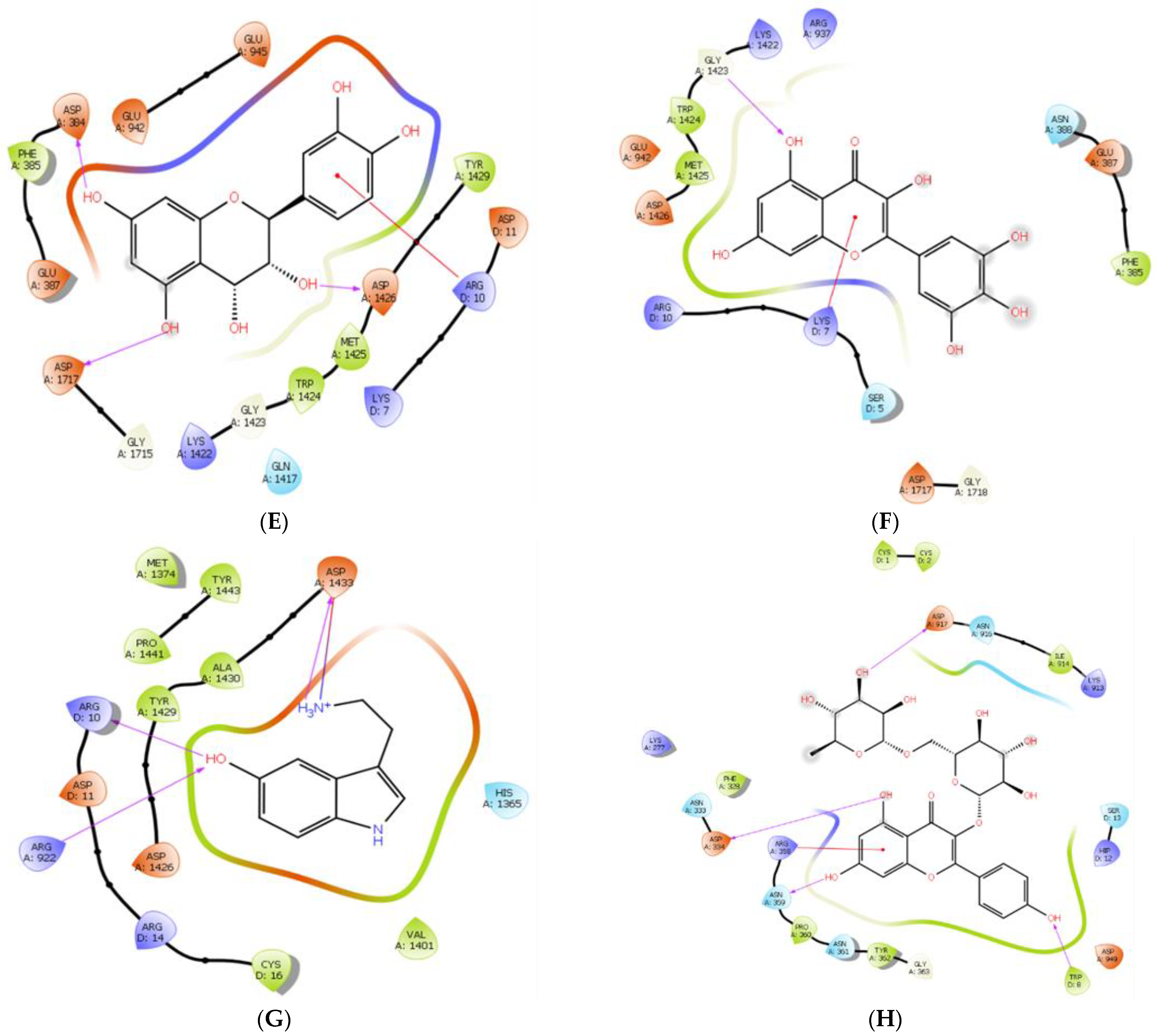 Brainsci 14 00545 g003b