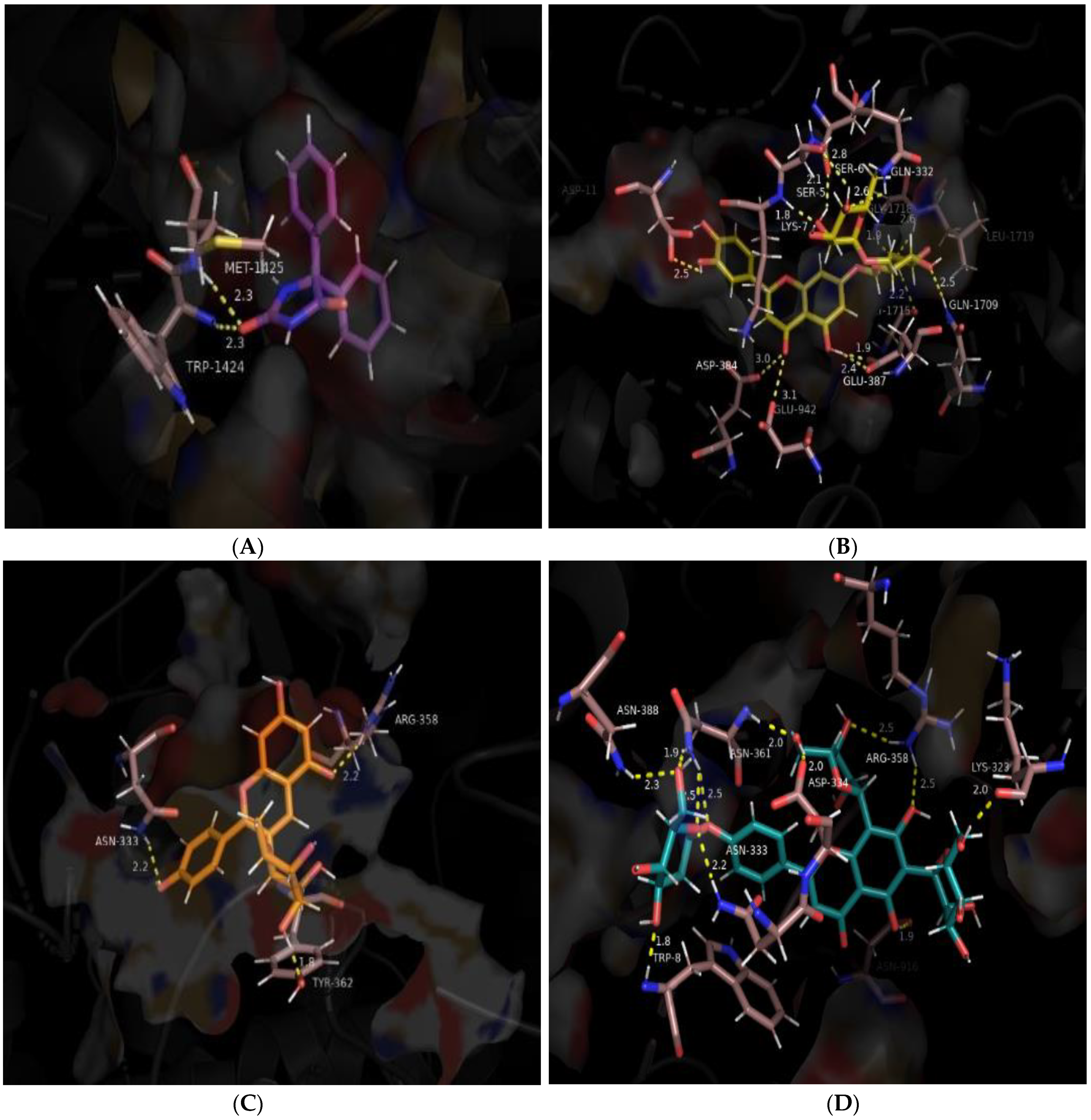 Brainsci 14 00545 g004a
