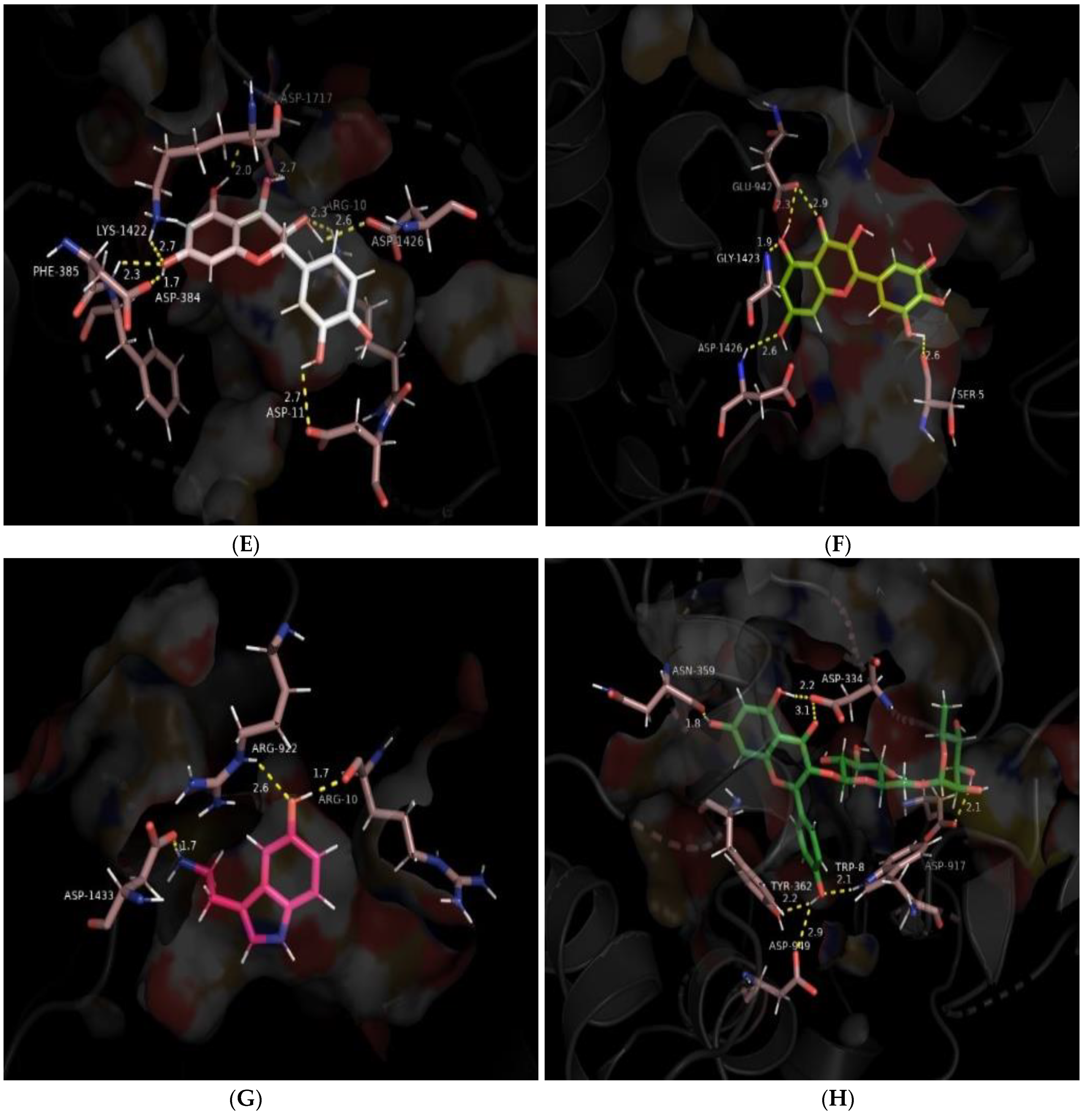 Brainsci 14 00545 g004b