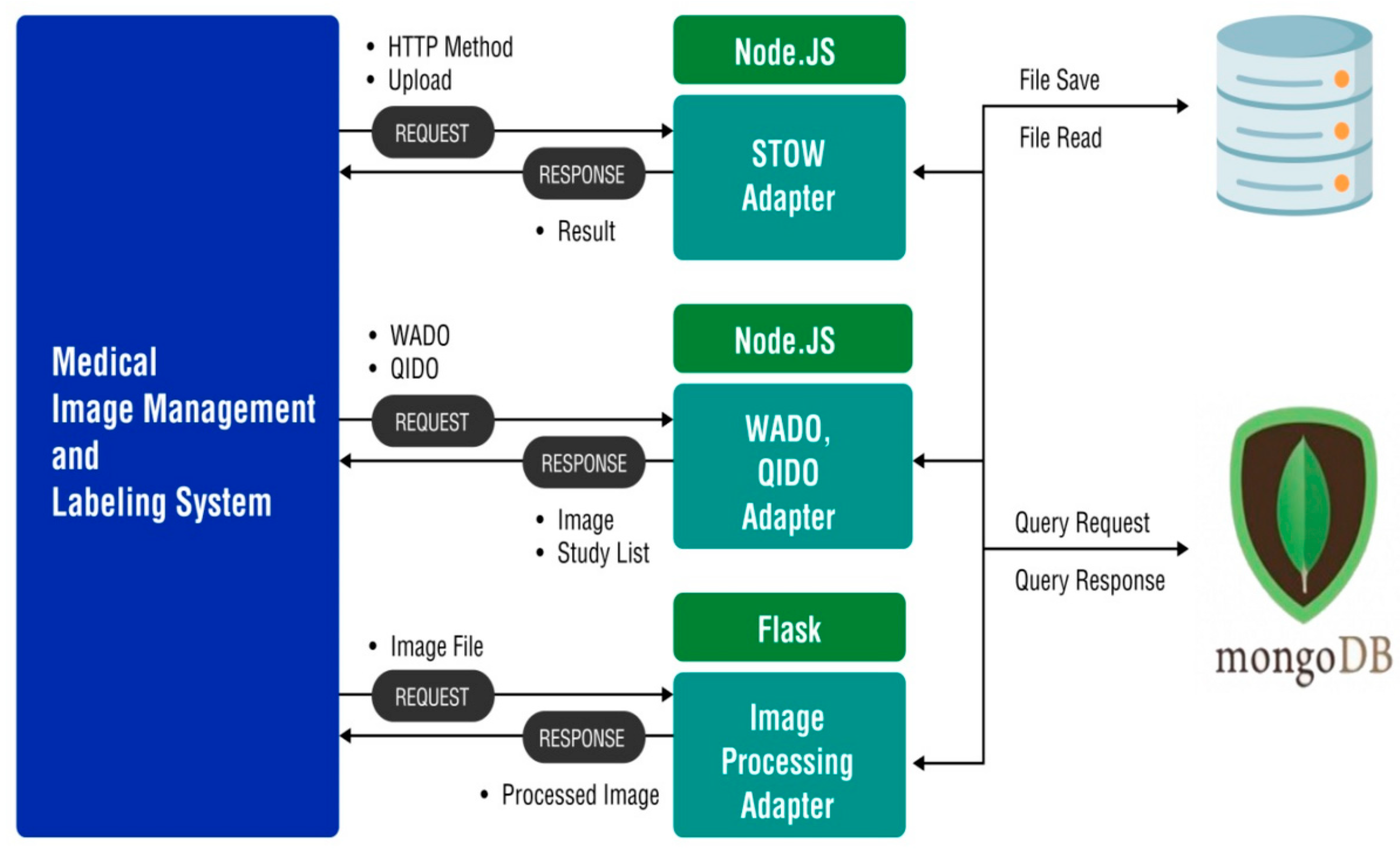 Brainsci 14 00546 g001