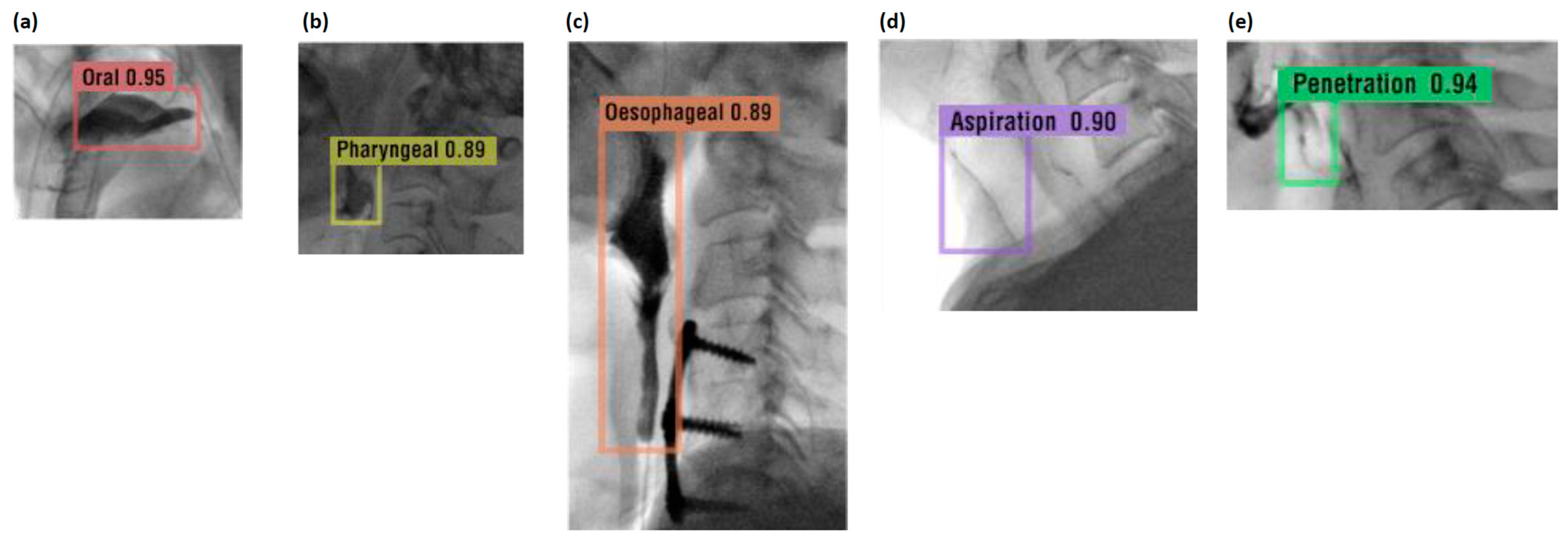 Brainsci 14 00546 g007