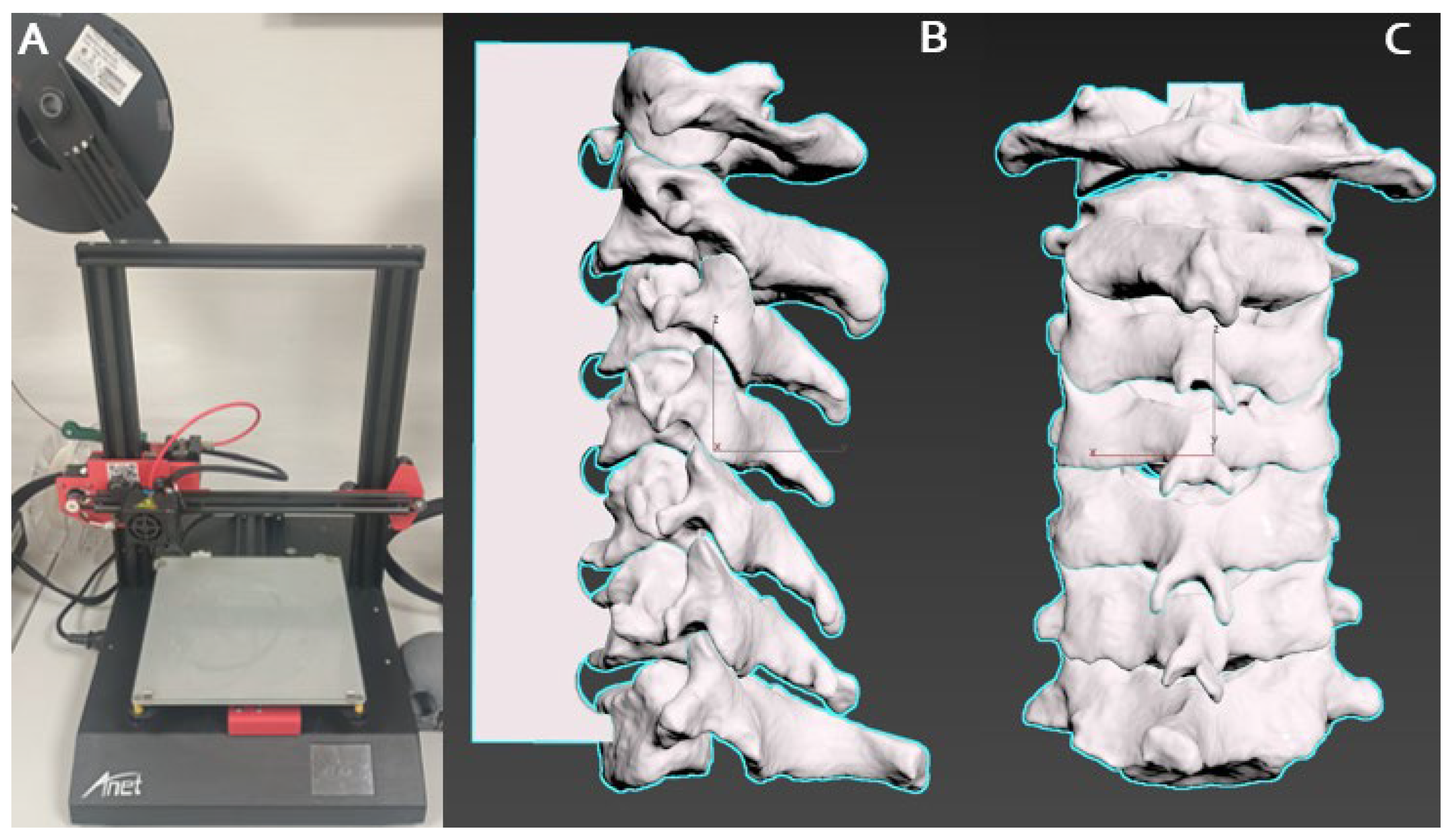 Brainsci 14 00547 g001
