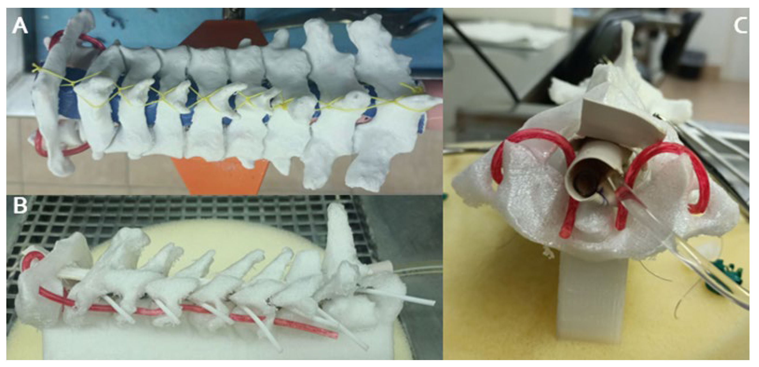 Brainsci 14 00547 g003