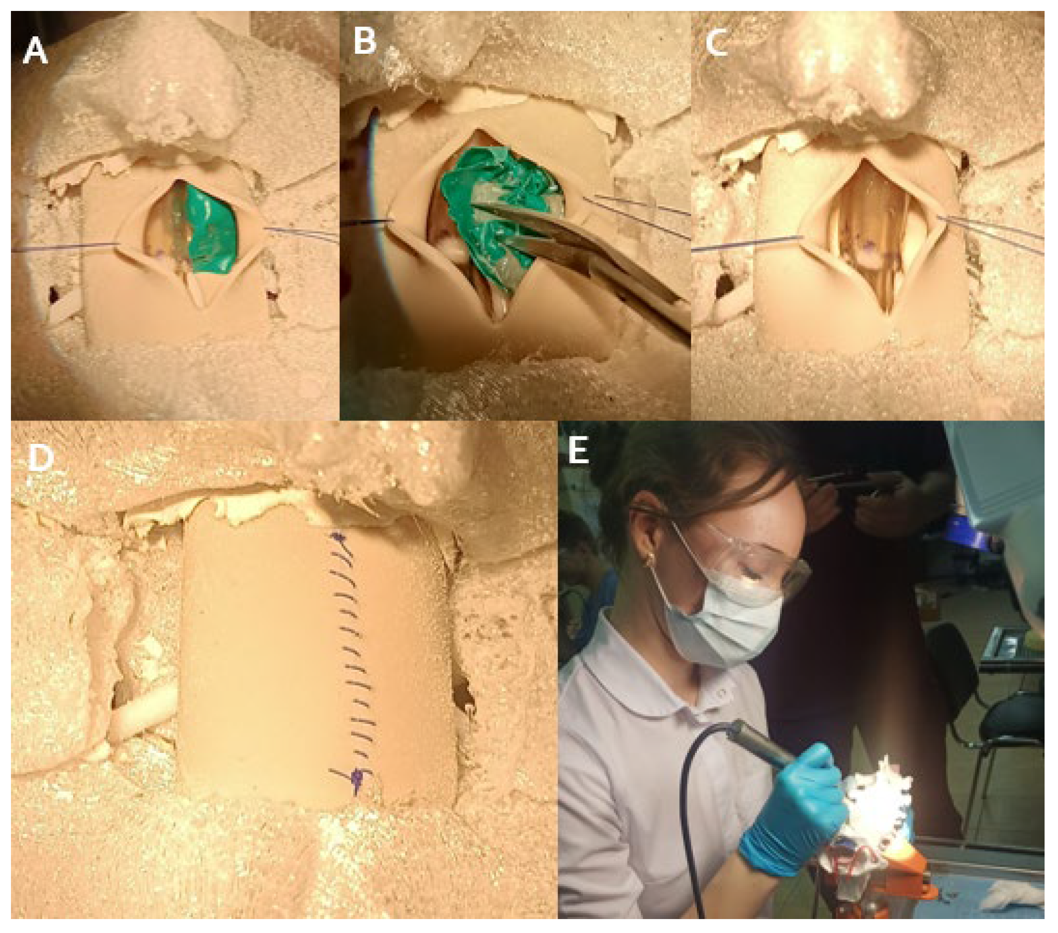 Brainsci 14 00547 g005