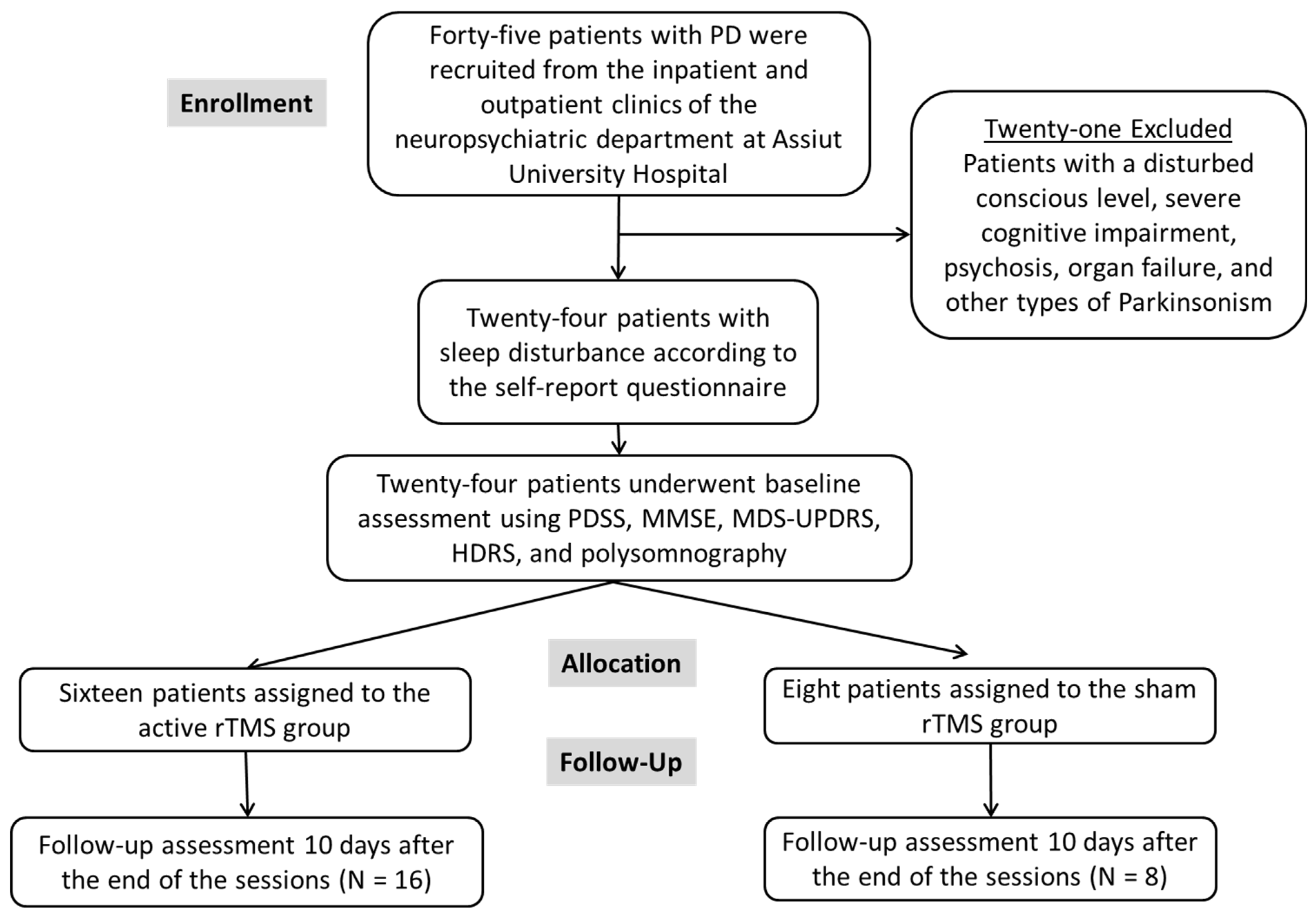 Brainsci 14 00556 g001