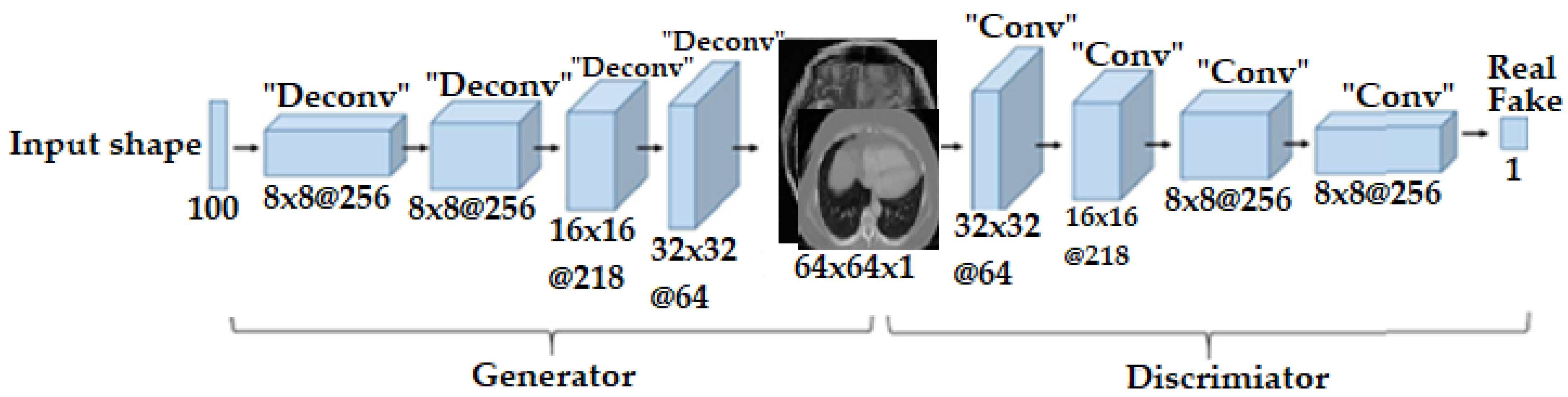 Brainsci 14 00559 g004