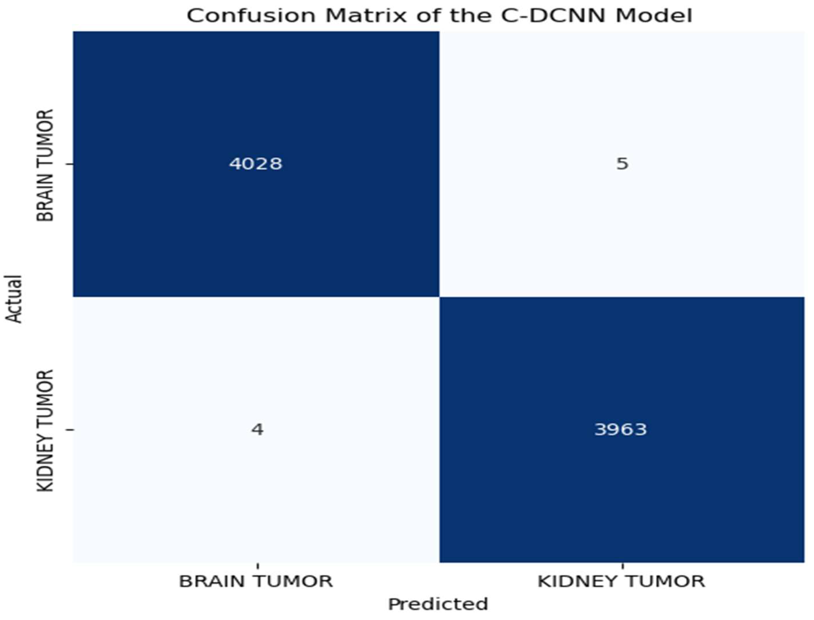 Brainsci 14 00559 g006