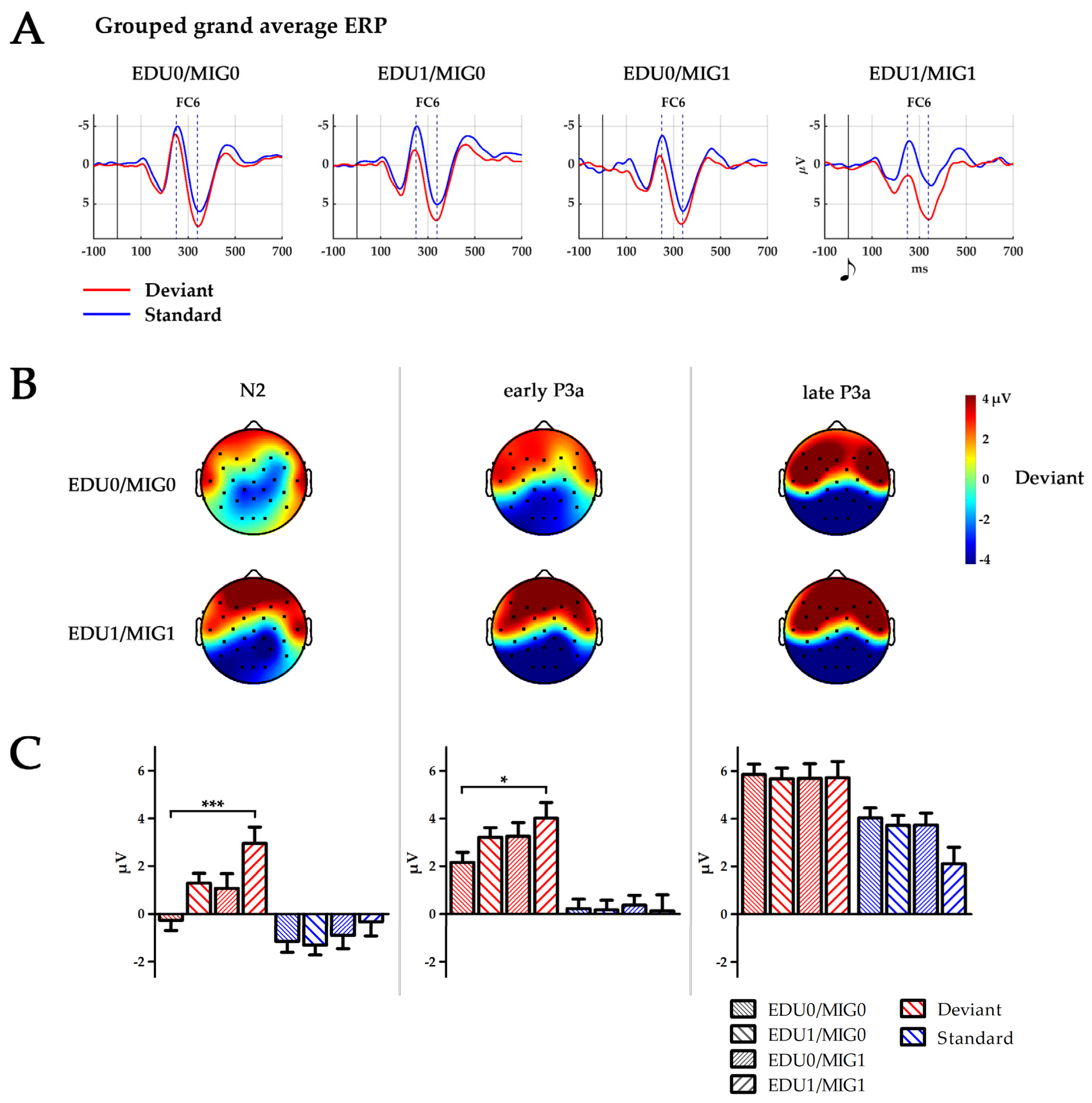Brainsci 14 00560 g002