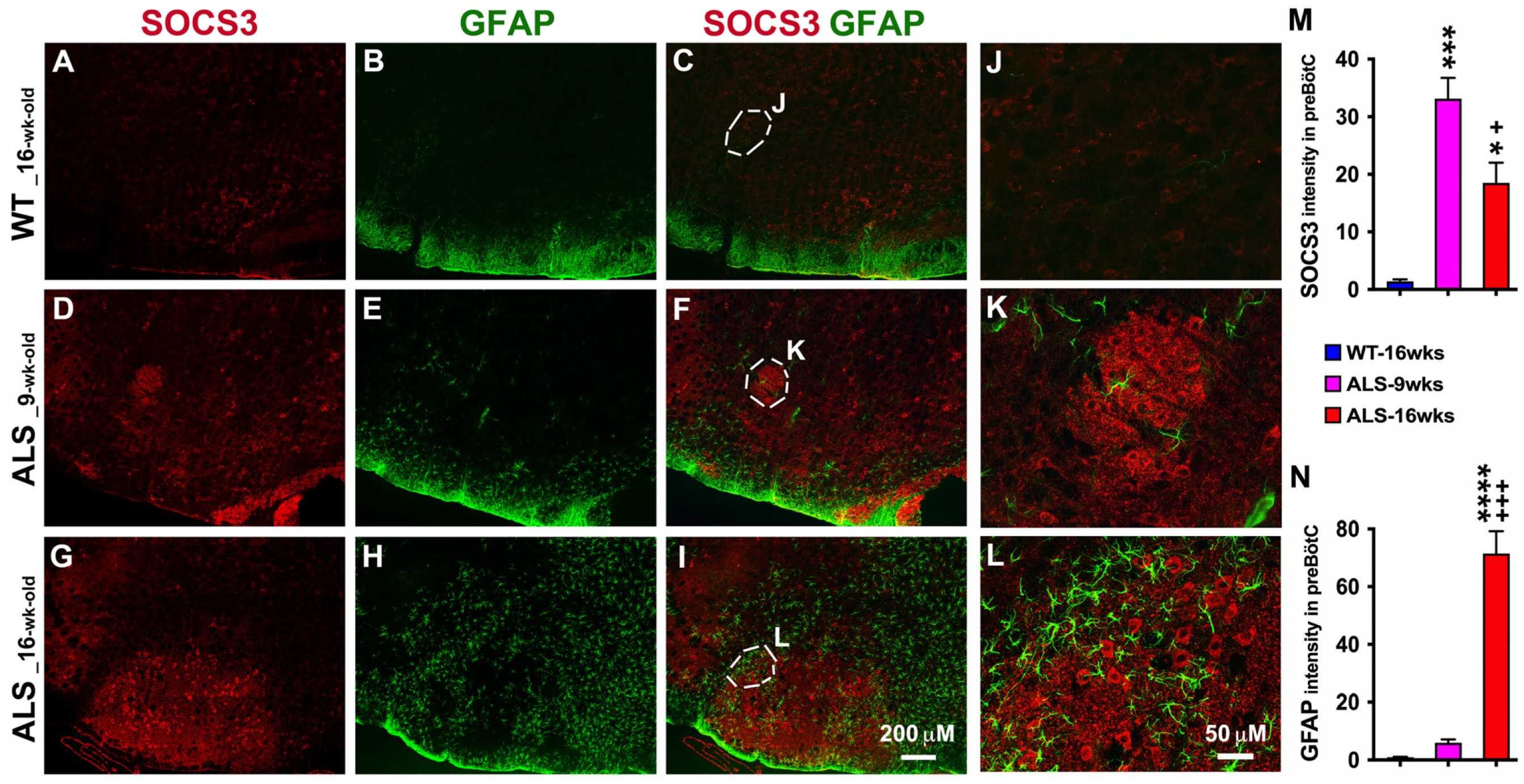 Brainsci 14 00564 g002
