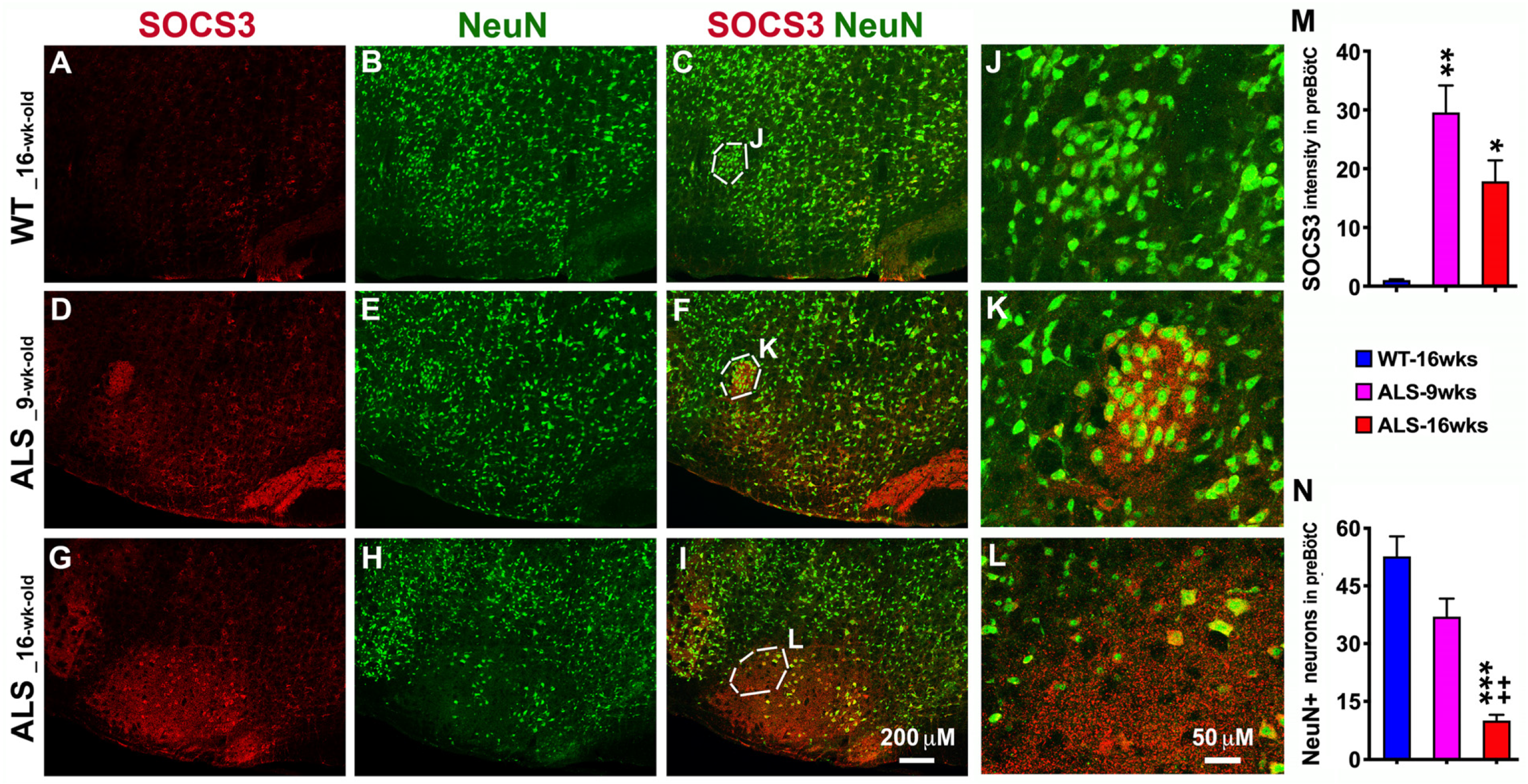 Brainsci 14 00564 g003