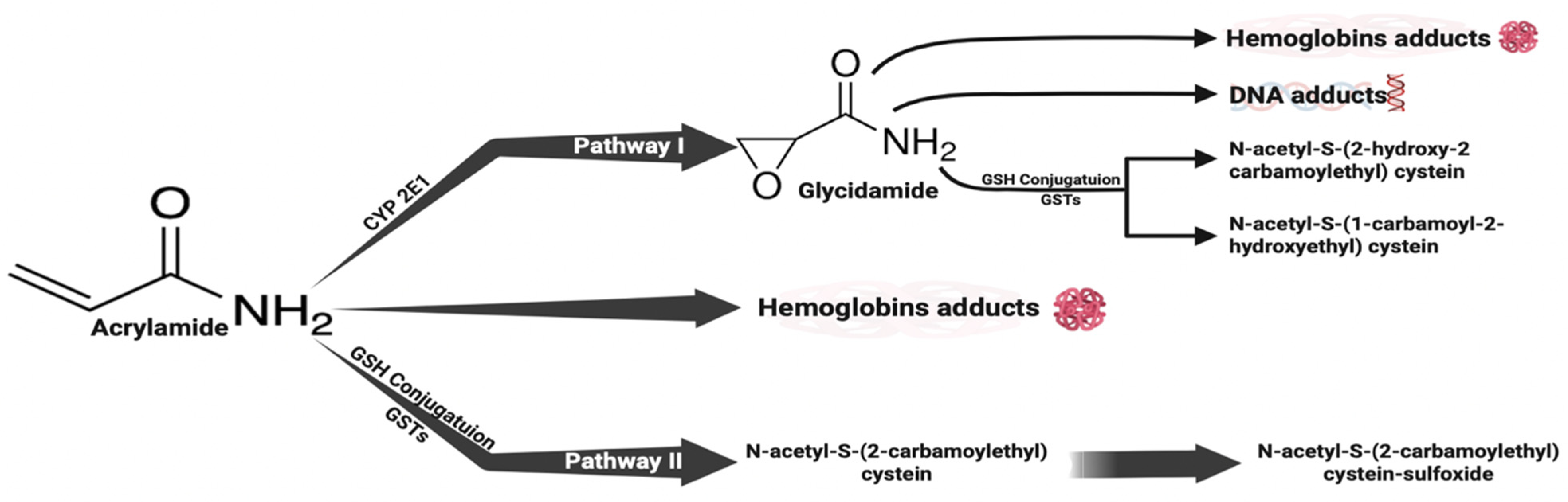 Brainsci 14 00574 g001 Brainsci 14 00574 g001