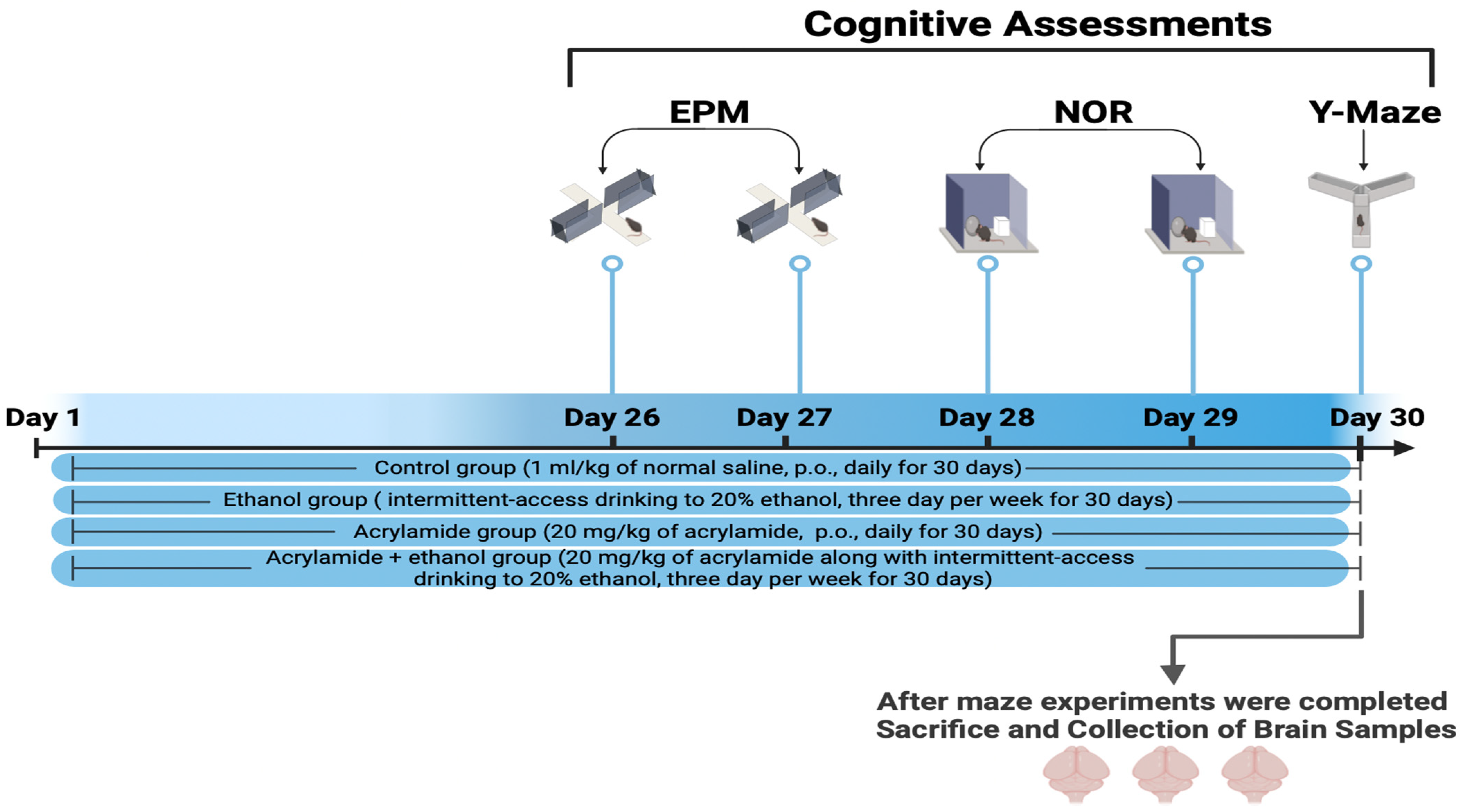 Brainsci 14 00574 g003 Brainsci 14 00574 g003