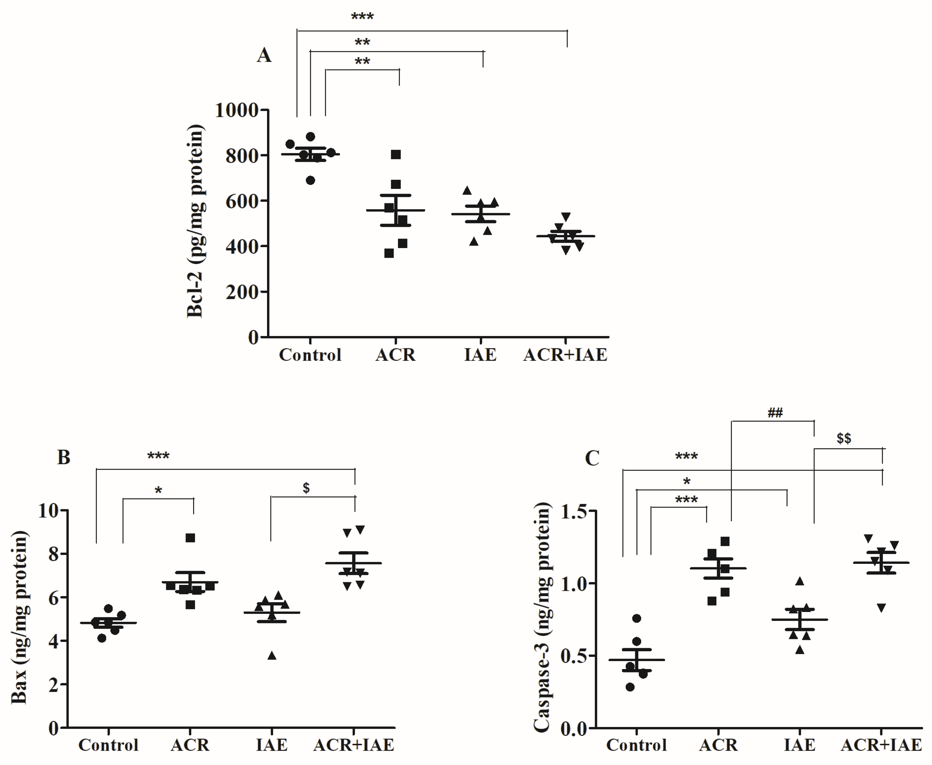 Brainsci 14 00574 g009 Brainsci 14 00574 g009