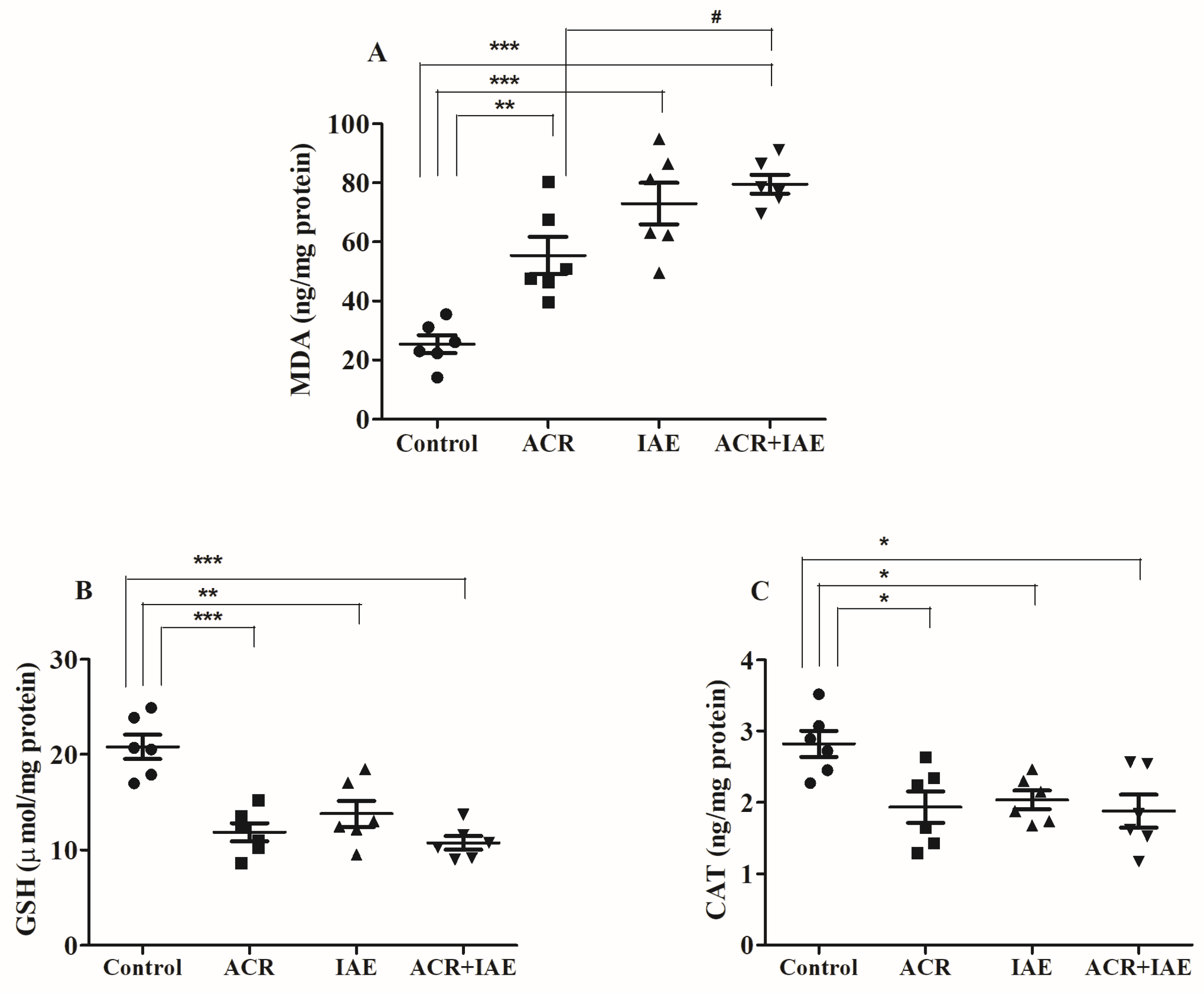 Brainsci 14 00574 g010 Brainsci 14 00574 g010