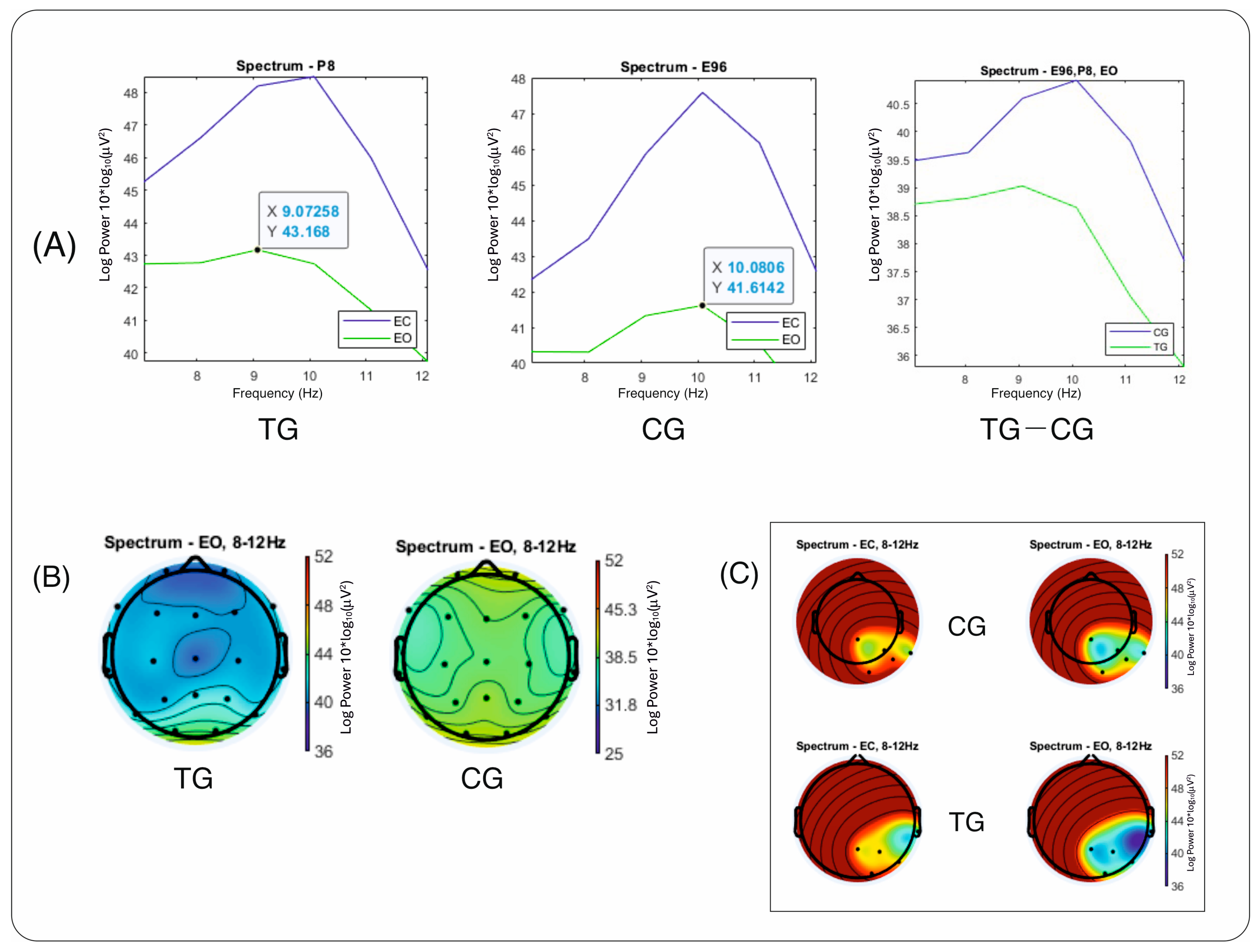 Brainsci 14 00584 g002